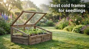 Best cold frames for seedlings