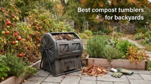 Best compost tumblers for backyards