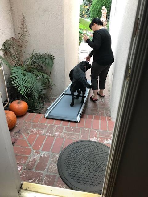 Solvit 62337 Deluxe Telescoping Pet Ramp, Standard (62305) | Extends 39-72 in to Reach Vans & SUVs, High-Traction Surface, Side Rails, Folds with Safety Latch, Supports Dogs up to 400 Lb customer photo 2