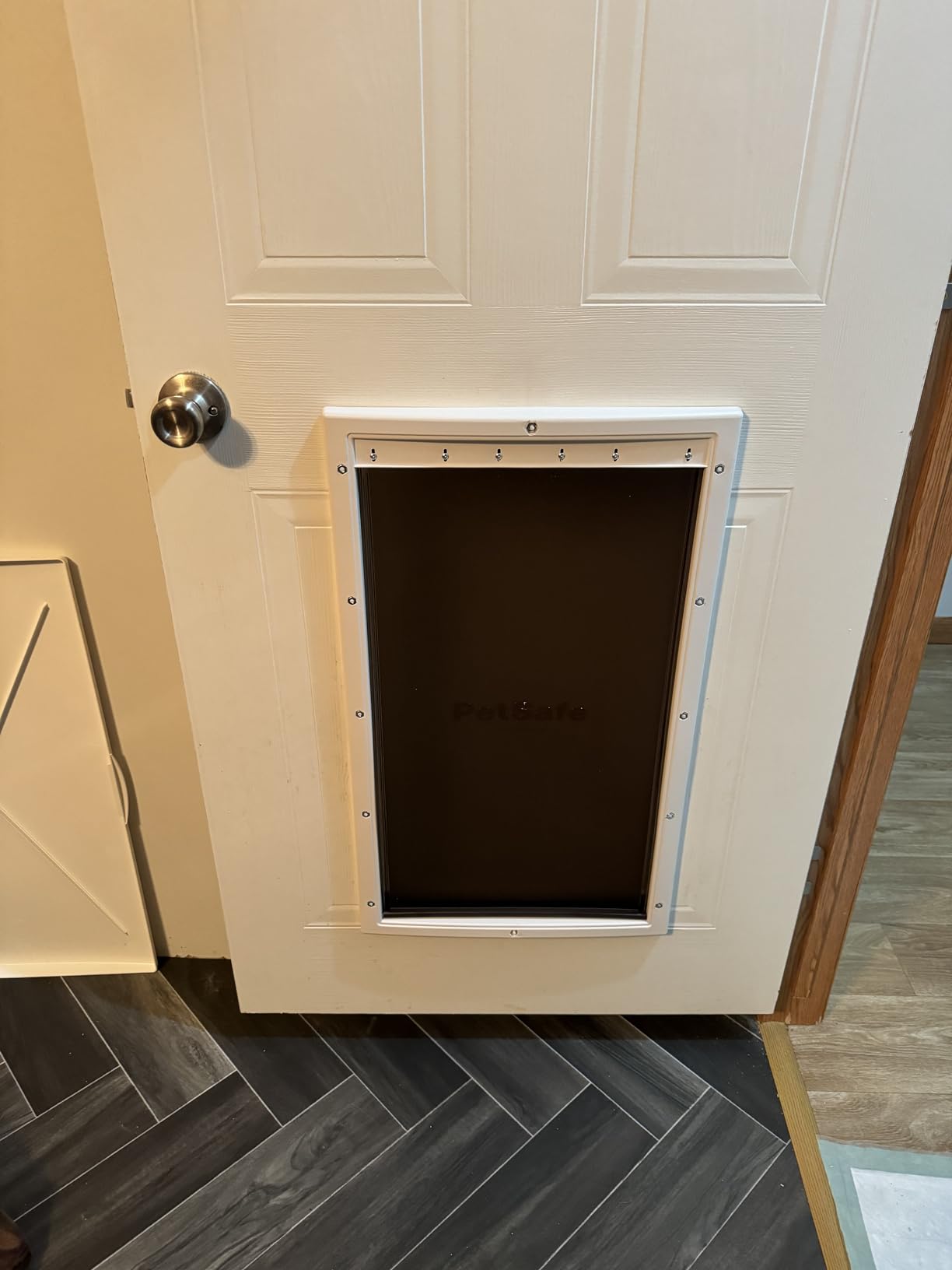 PetSafe Plastic Dog & Cat Door, Pets Up to 40 lb, Paintable, Medium | Flap Opening 8 1/8 in W x 12 1/4 in H, Snap-on Closing Panel, Paintable Frame, Easy DIY Install customer photo 2