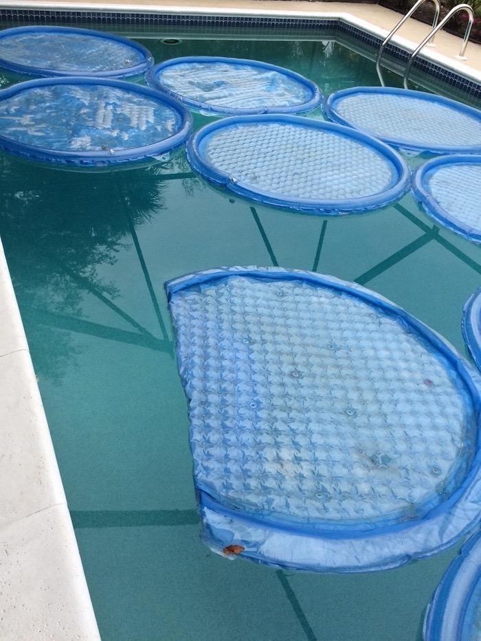 Solar Sun Rings Above Ground and Inground Pool Spa Heater, Blue, 60 in | Two Layer Vinyl Build, Rafting Magnets Connect Side by Side, Drain Grommets, Salt or Chlorine Safe, Night Thermal Blanket customer photo 1