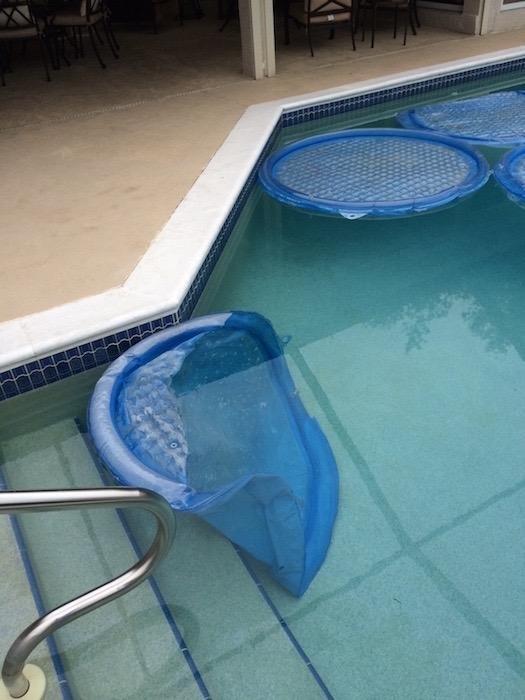 Solar Sun Rings Above Ground and Inground Pool Spa Heater, Blue, 60 in | Two Layer Vinyl Build, Rafting Magnets Connect Side by Side, Drain Grommets, Salt or Chlorine Safe, Night Thermal Blanket customer photo 2