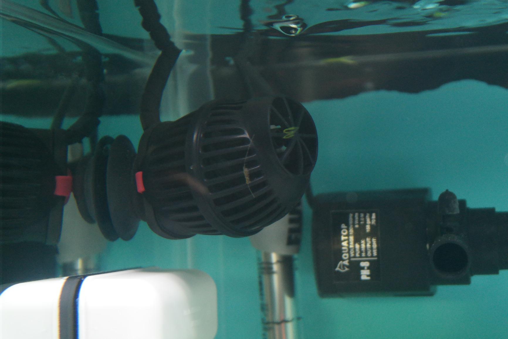 Hydor Koralia Nano Aquarium Circulation Pump, Includes Built-In Cable Protector, 240 GPH, Measures 2.4-Inches & is Ideal for Fresh or Salt Water Use customer photo 1