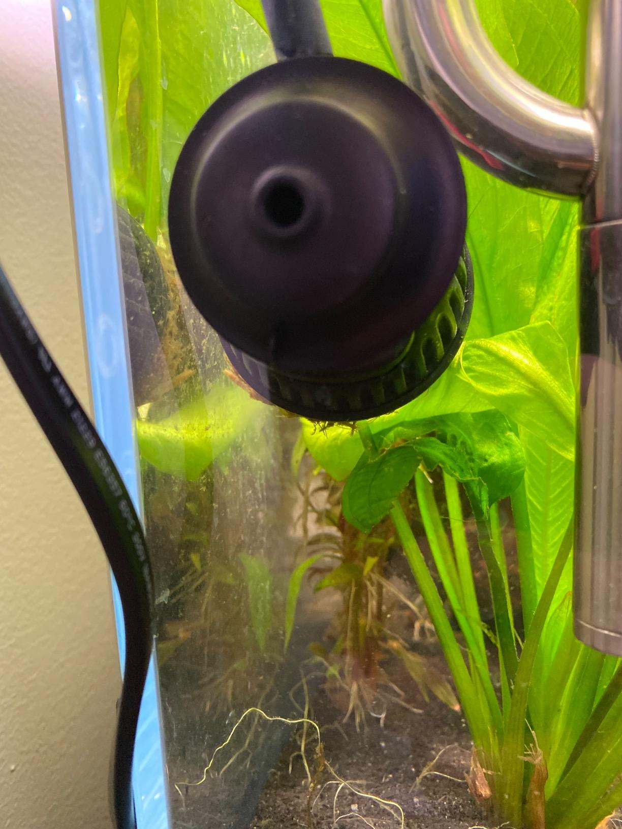 Hydor Koralia Nano Aquarium Circulation Pump, Includes Built-In Cable Protector, 240 GPH, Measures 2.4-Inches & is Ideal for Fresh or Salt Water Use customer photo 2