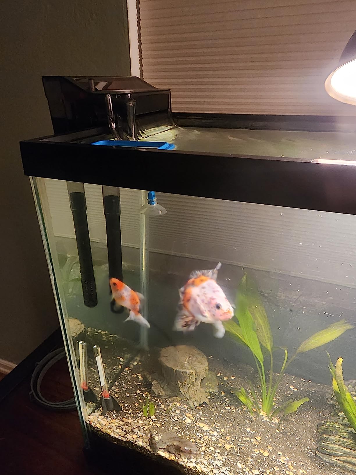 Fluval C2 Power Filter, Fish Tank Filter for Aquariums up to 30 Gal. customer photo 1