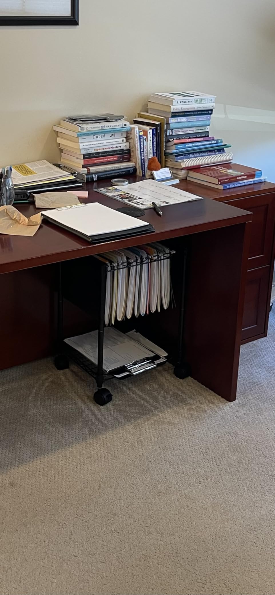 LYS Mobile Wire Filing Cart customer photo 1