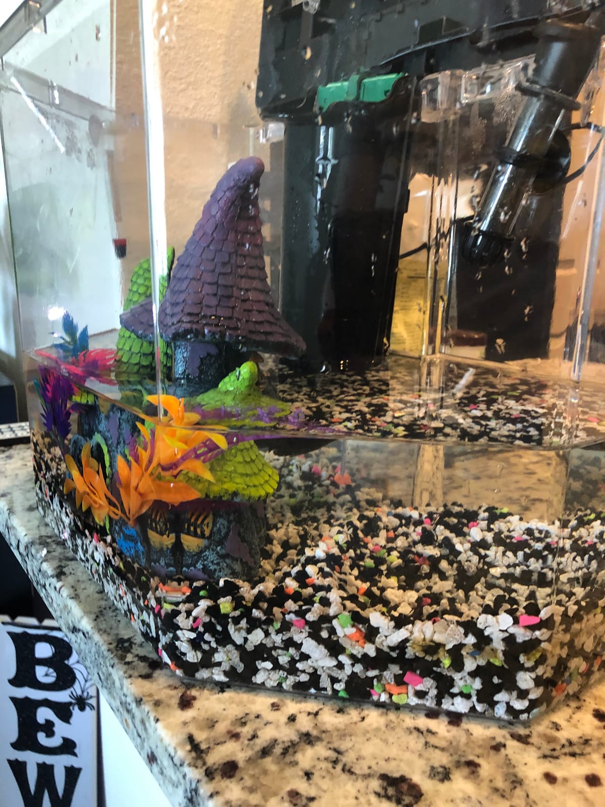 Aqueon Siphon Vacuum Aquarium Gravel Cleaner Mini - 5 Inches customer photo 1