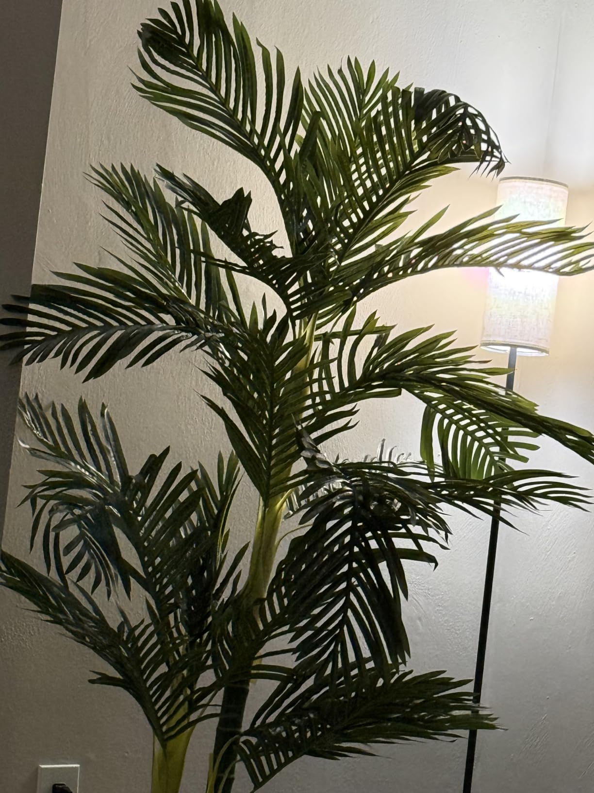 Nearly Natural 6.5ft Artificial Golden Cane Palm Tree, Lifelike Silk Indoor Palm With Three Textured Trunks Flexible Fronds Nursery Planter, Low Maintenance customer photo 2