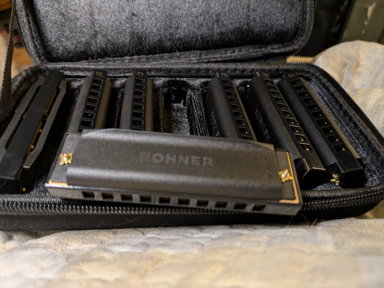 Hohner Accordions Hohner Harmonica Piedmont Blues 7 Harmonica Pack with Case, Stainless steel (PBH7) customer photo 1