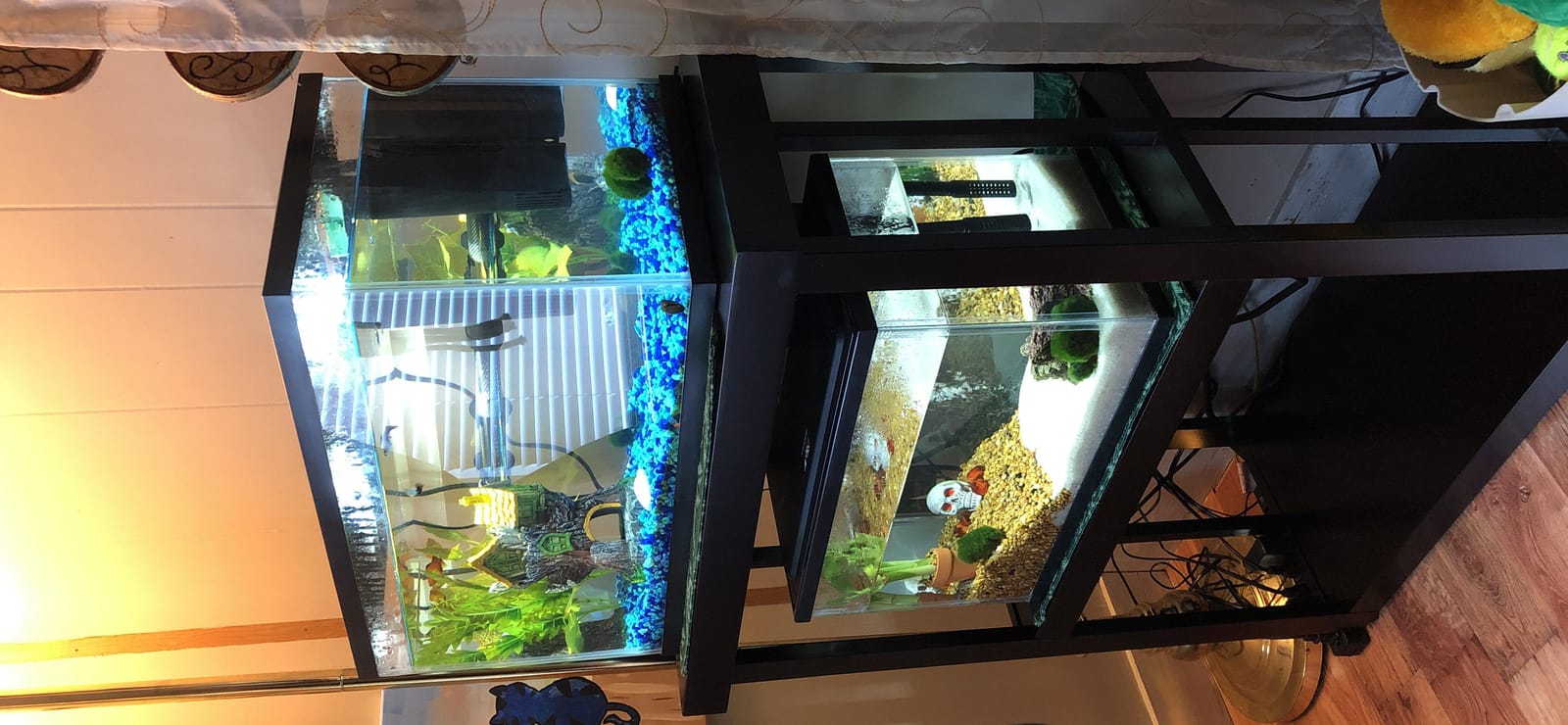 Imagitarium by Petco Newport Wooden Tank Stand - for 20 Gallon Aquariums customer photo 1