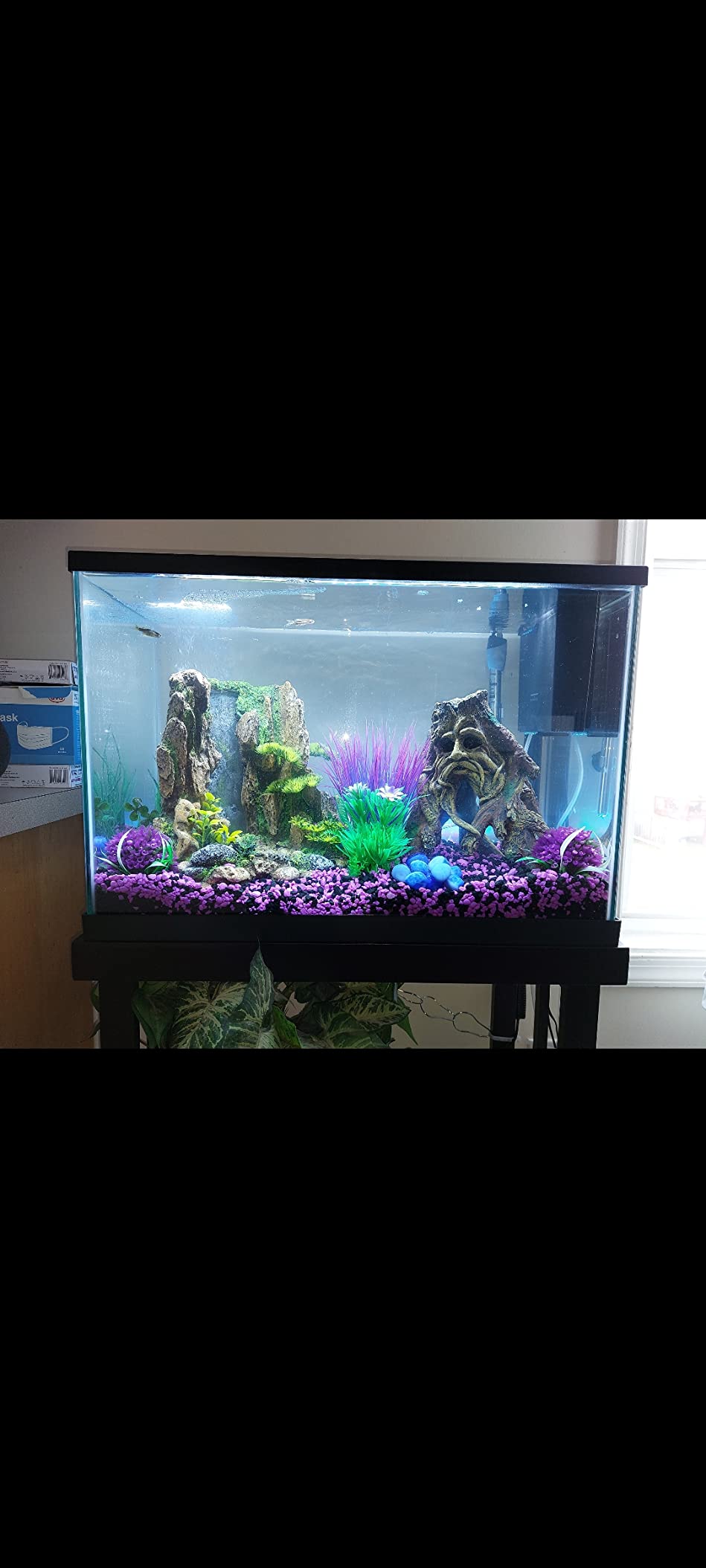 Imagitarium by Petco Newport Wooden Tank Stand - for 20 Gallon Aquariums customer photo 2