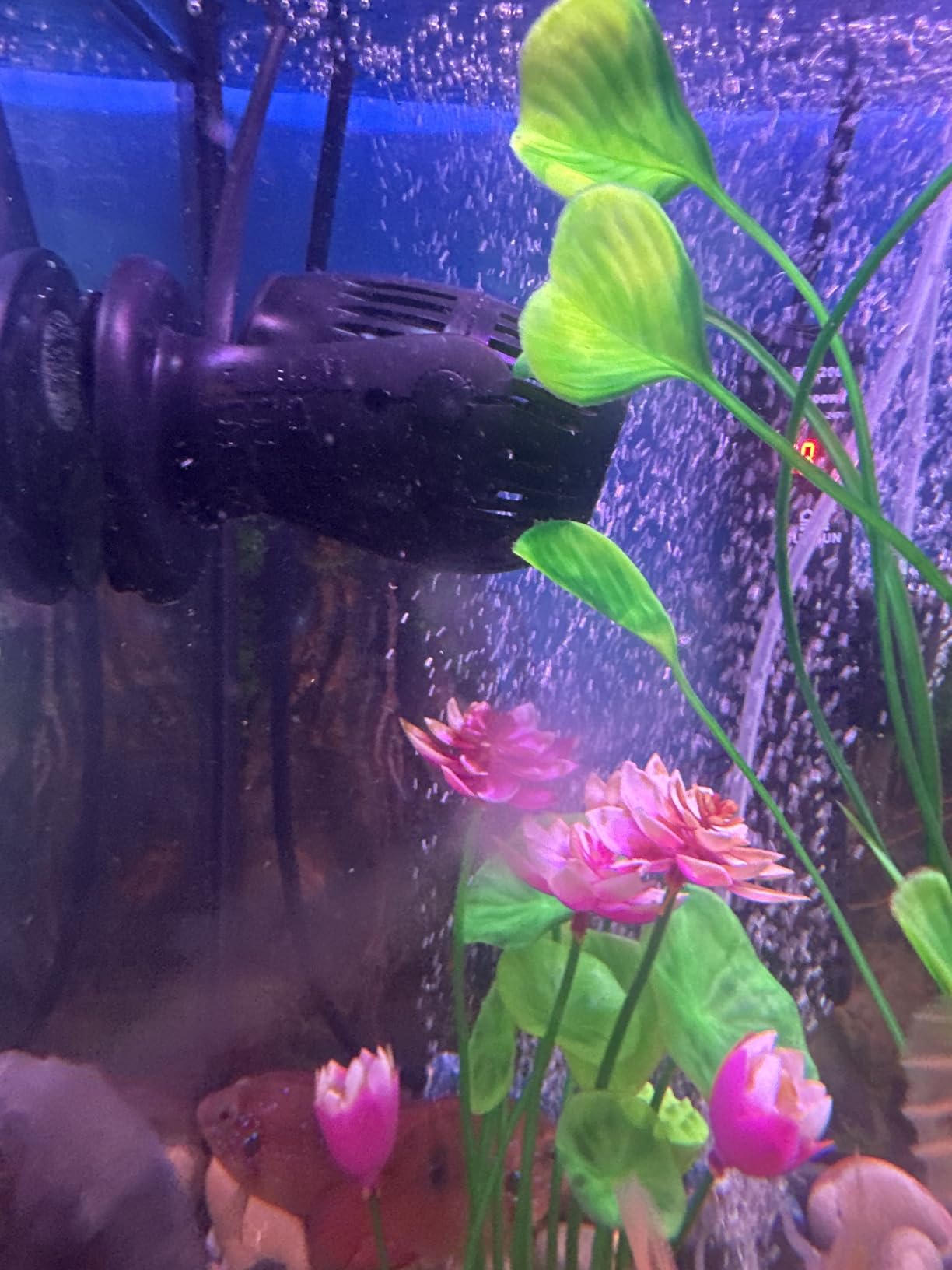 Fluval Sea CP3 Wave Maker Circulation Pump | For Freshwater & Saltwater Aquariums, 14347 customer photo 2
