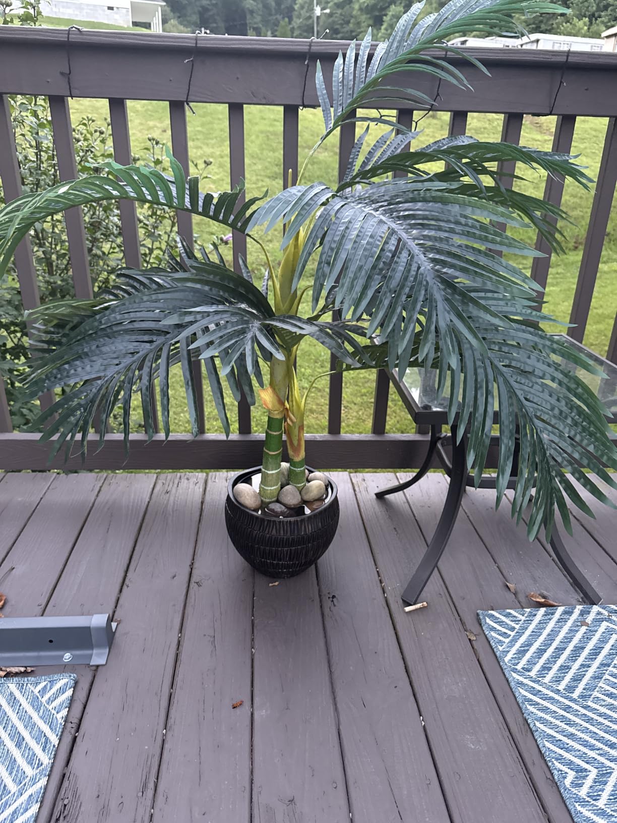 Nearly Natural 4 ft Artificial Golden Cane Palm Tree with Nursery Pot | Double-Stalk, Lush Realistic Foliage, Indoor Faux Palm Plant, Living Room Decor, Perfect Tropical Decoration customer photo 1