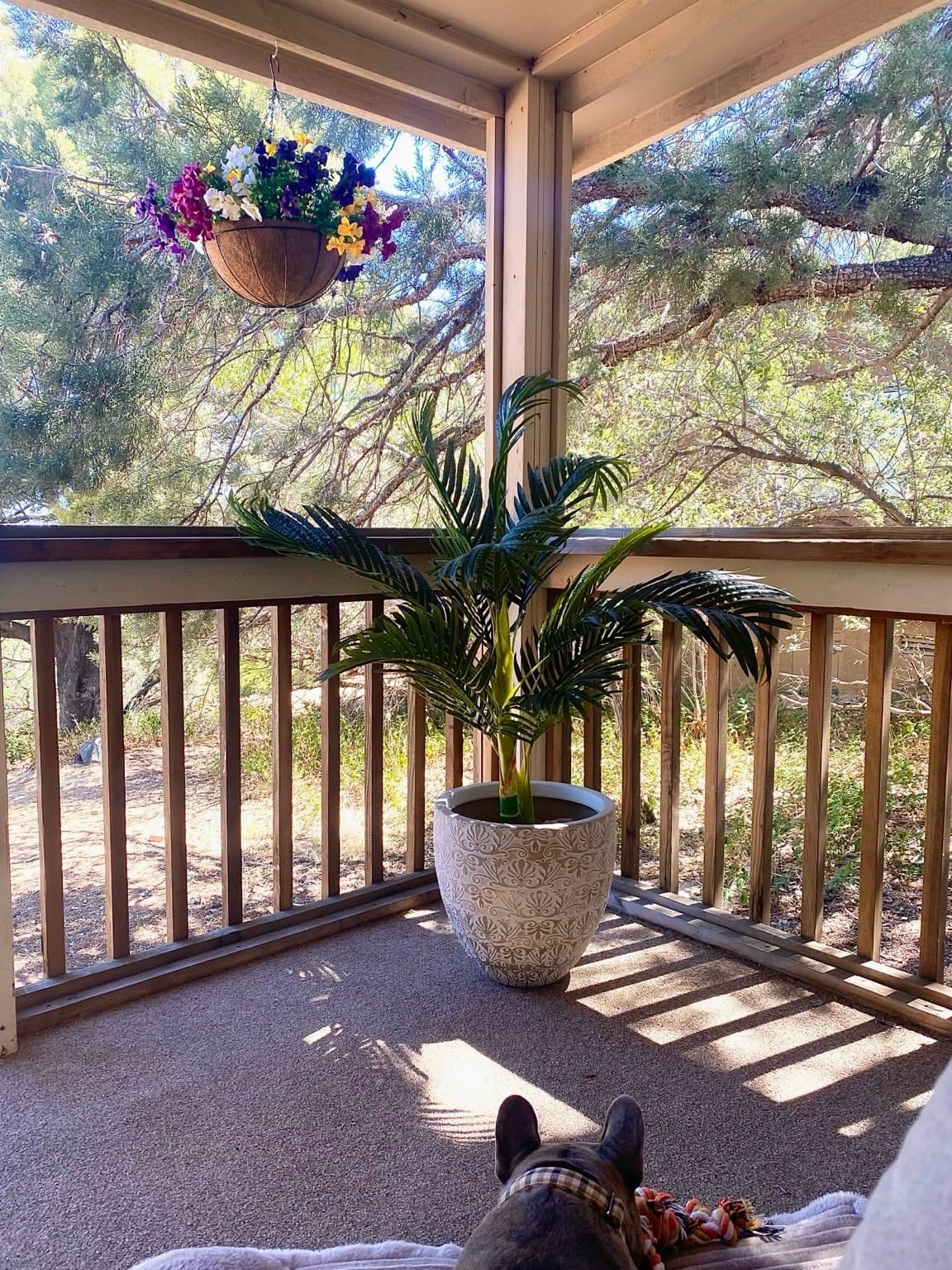 Nearly Natural 4 ft Artificial Golden Cane Palm Tree with Nursery Pot | Double-Stalk, Lush Realistic Foliage, Indoor Faux Palm Plant, Living Room Decor, Perfect Tropical Decoration customer photo 2