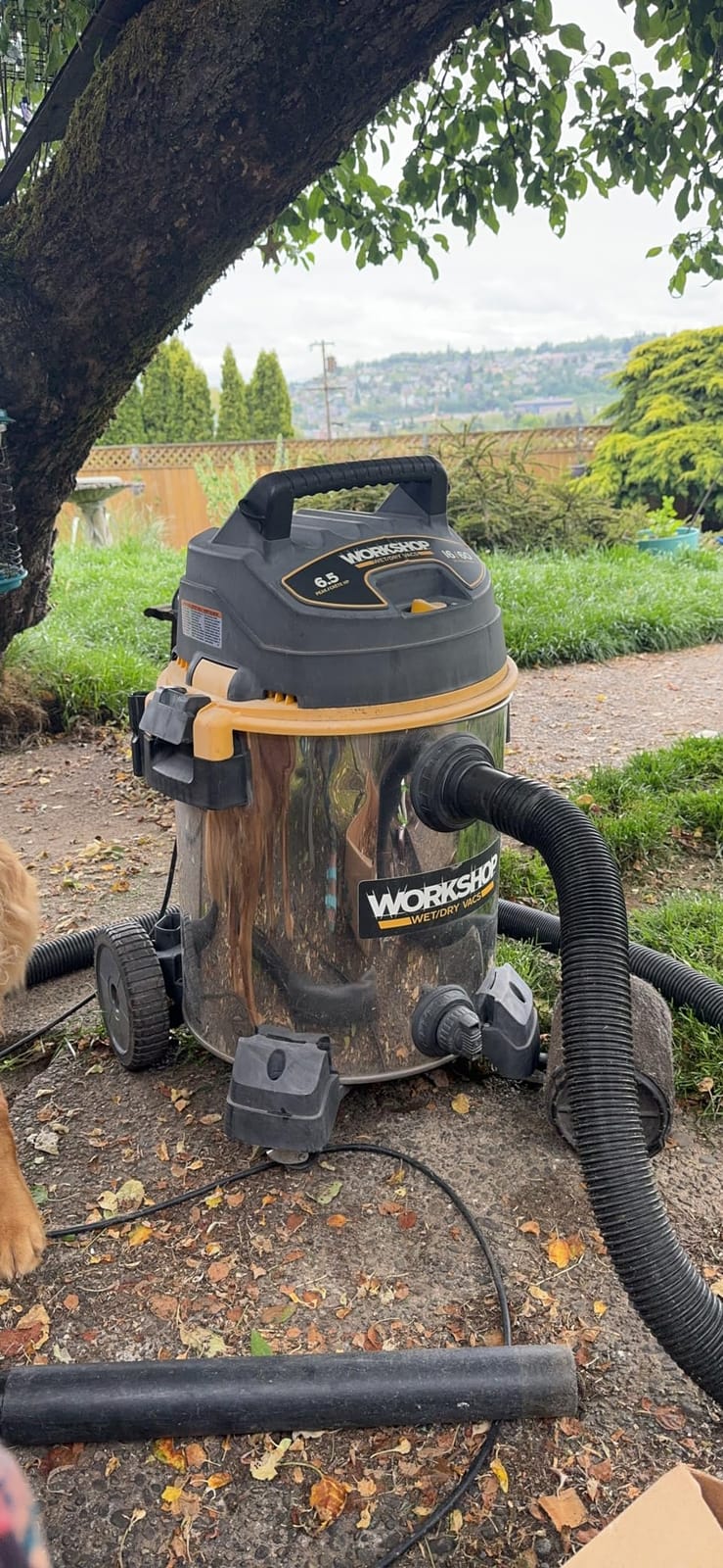 CRAFTSMAN WS1600SS 16-Gallon 6.5 Peak HP Wet Dry Vacuum Cleaner | Stainless Steel Shop Vacuum with Filter, Dust Bag, Hose, Attachments and Cart for Heavy Duty Professional Cleaning customer photo 1