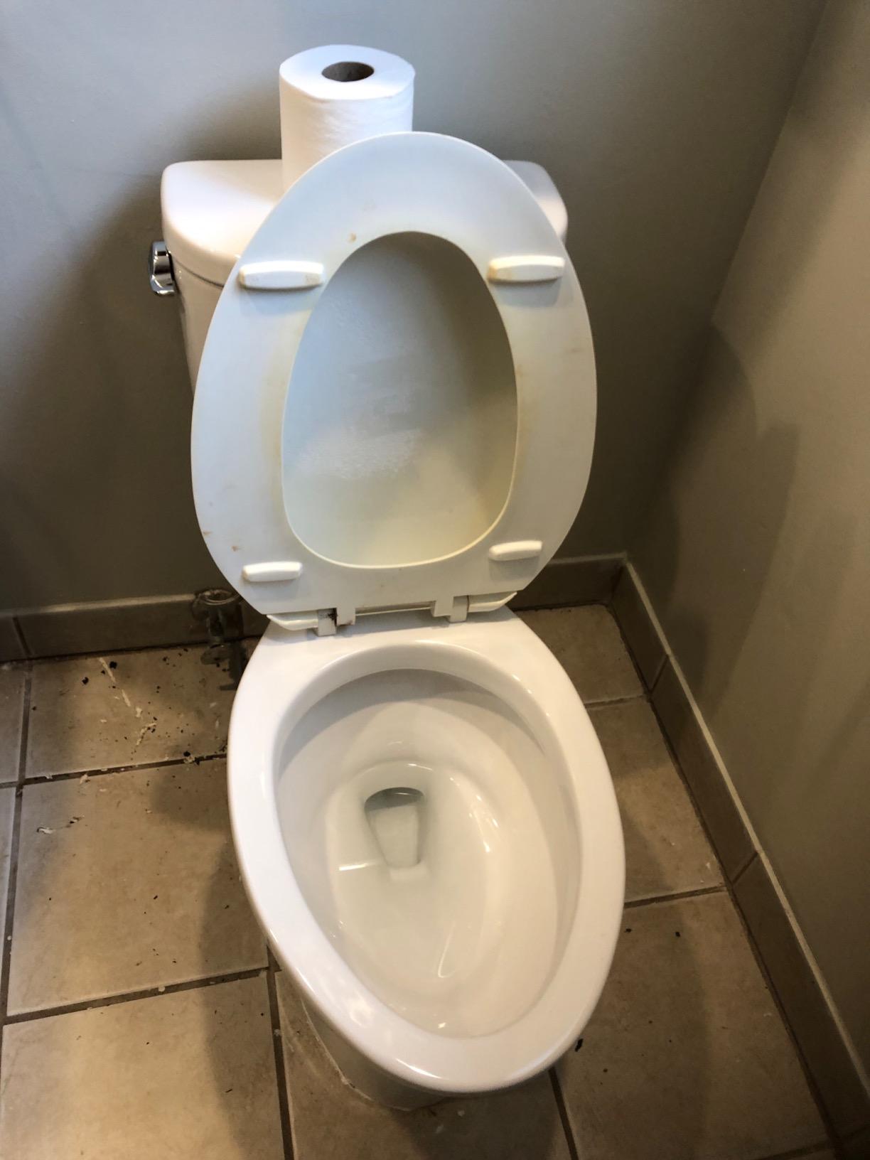 TOTO Entrada Two-Piece Elongated 1.28 GPF Universal Height Toilet, Cotton White - CST244EF#01 customer photo 1
