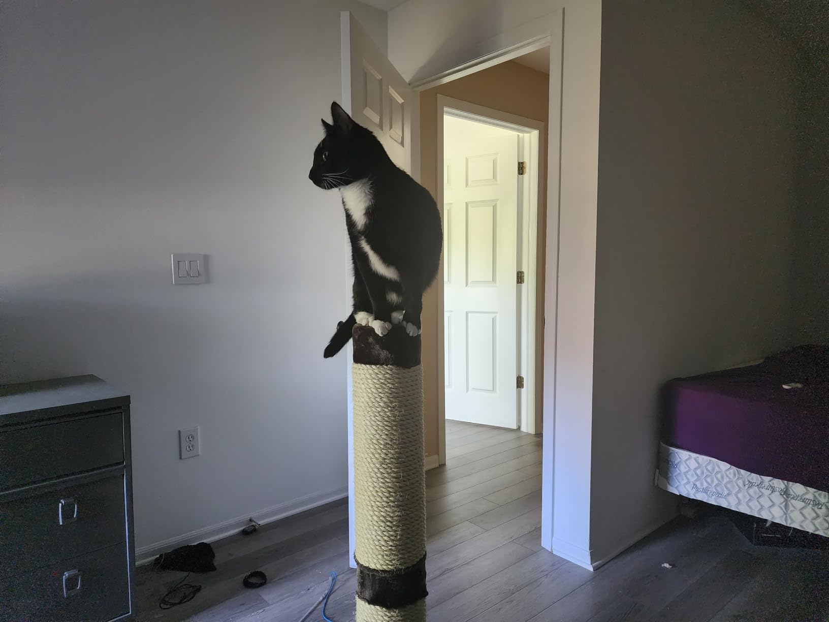 MidWest Homes for Pets Feline Nuvo Grand Forte Scratching Post, 41 Inches Tall, Heavy-Duty Sisal Post with Wide Base, Thick Brown Faux Fur, for Large and Multi-Cat Households customer photo 1