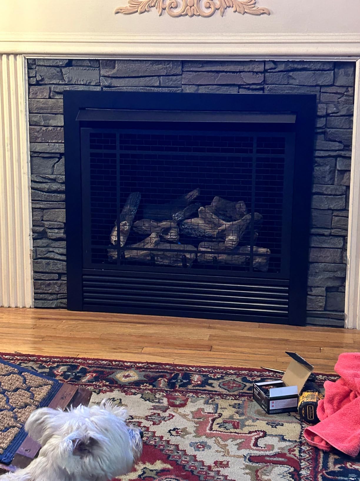 Duluth Forge Dual Fuel Ventless Gas Fireplace Insert - 32,000 BTU, Remote Control - Model# FDI32R customer photo 1