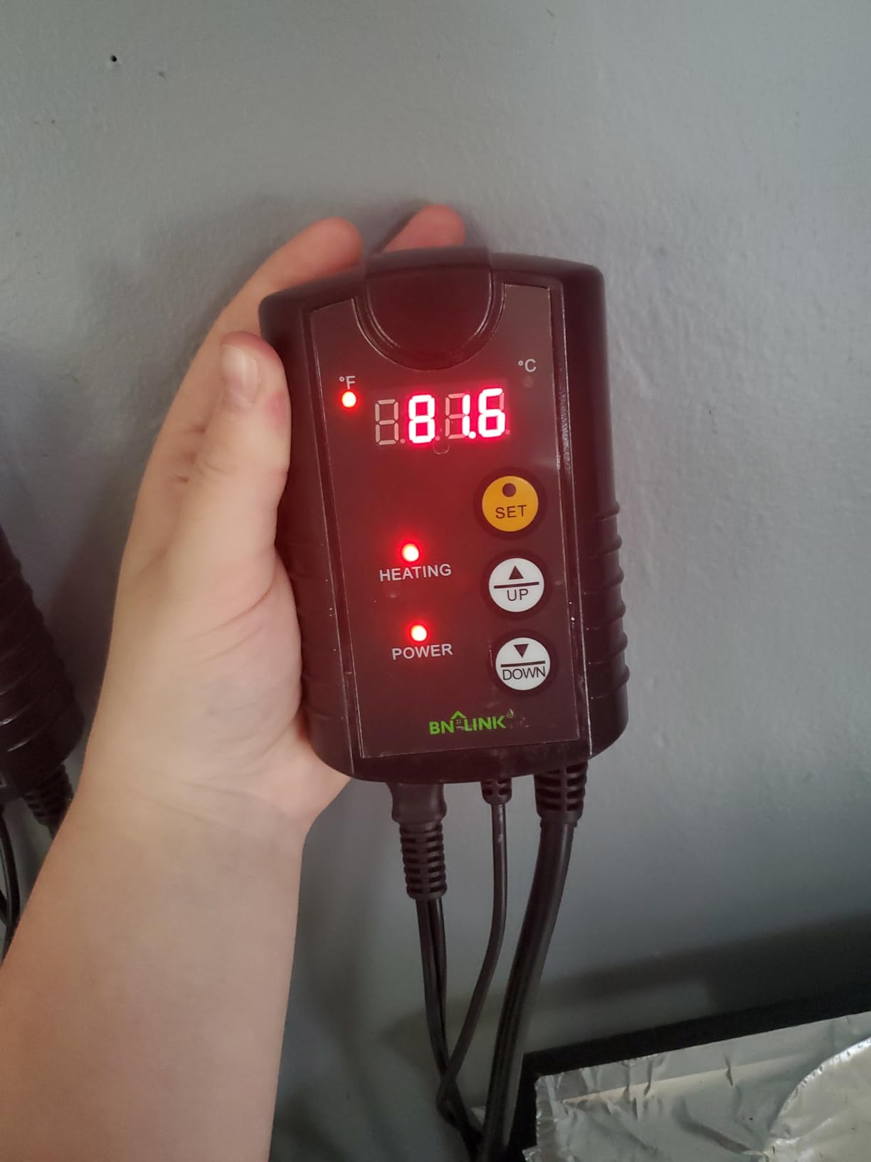 BN-LINK Reptile Thermostat Temperature Controller, Digital Heat Mat Thermostat for Seed Starting, Plant Germination, Greenhouse, Incubator, Brooder, Brewing, Reptiles Tank, 40-108°F, 1000W, ETL Listed customer photo 1