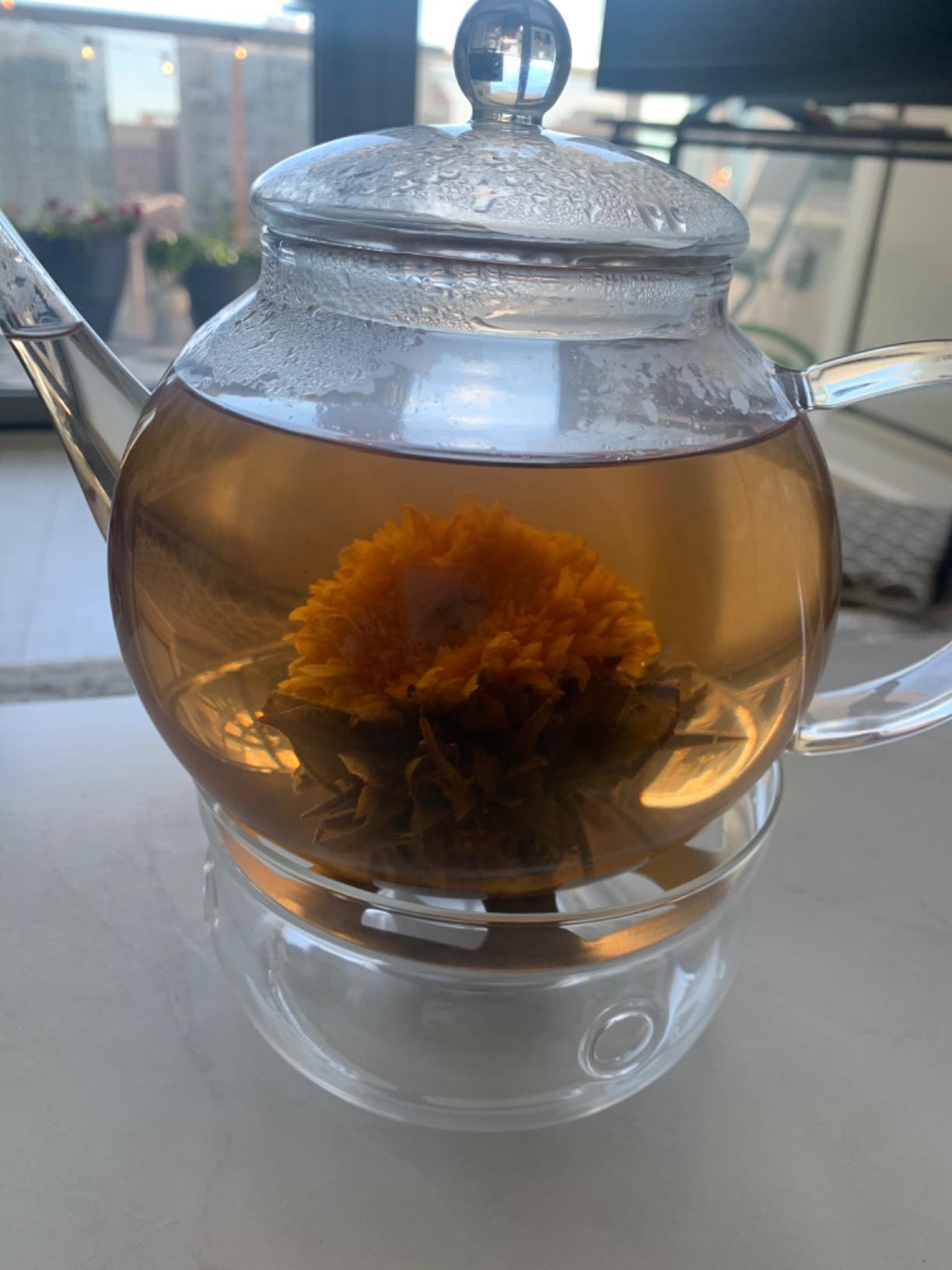 Teabloom Complete Glass Tea Set - Teapot (40 oz), Loose Tea Infuser, 4 Insulated Teacups, Tea Warmer with Candlelight, and 12 Flowering Teas - Elegant Blooming Tea Gift Set customer photo 1