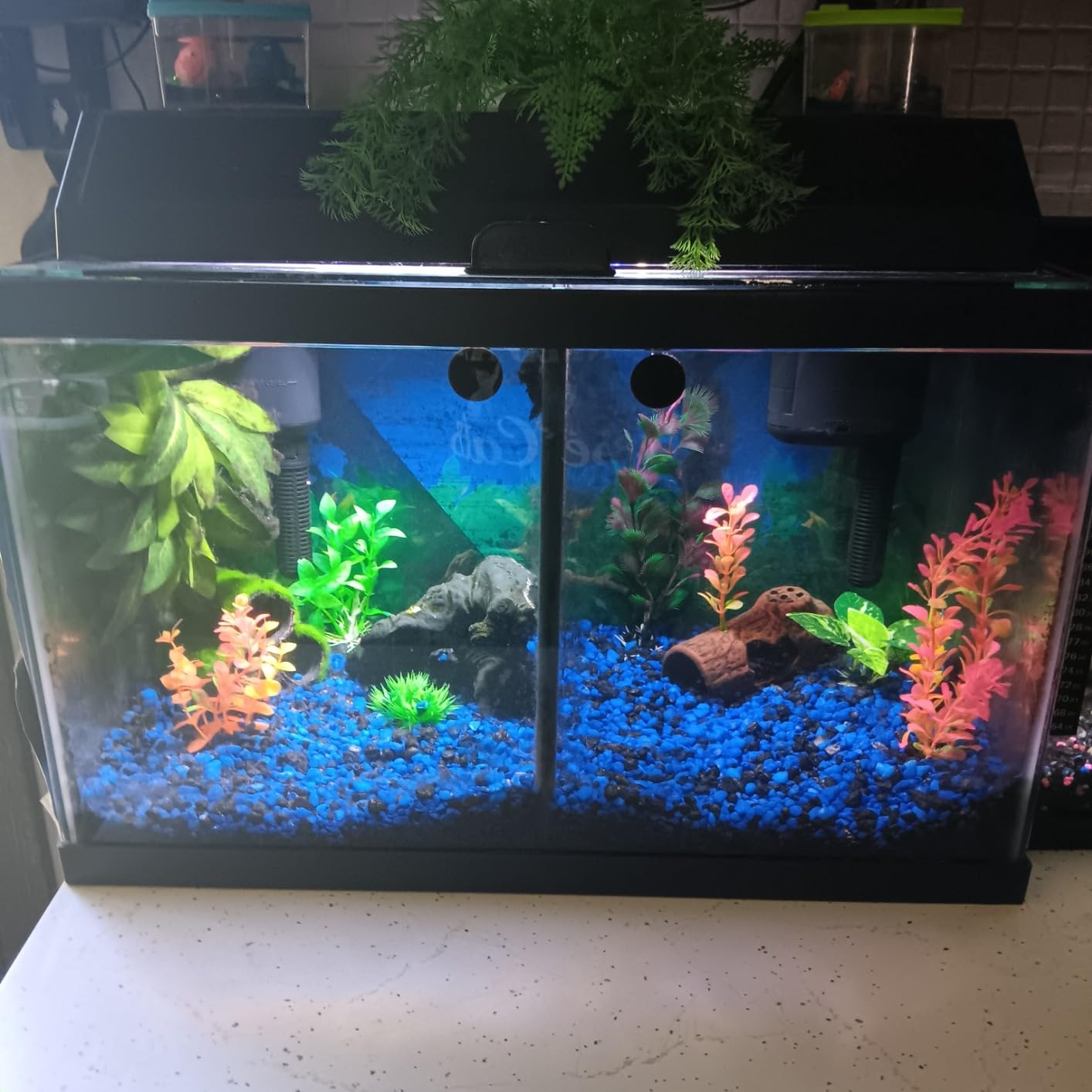 Tetra Whisper IQ 215 GPH Power Filter for Aquariums | For Fish Tanks Up To 45 Gallons, Whisper Quiet, Freshwater Or Marine Fish, Stay Clean Technology For Healthy pH Levels customer photo 1