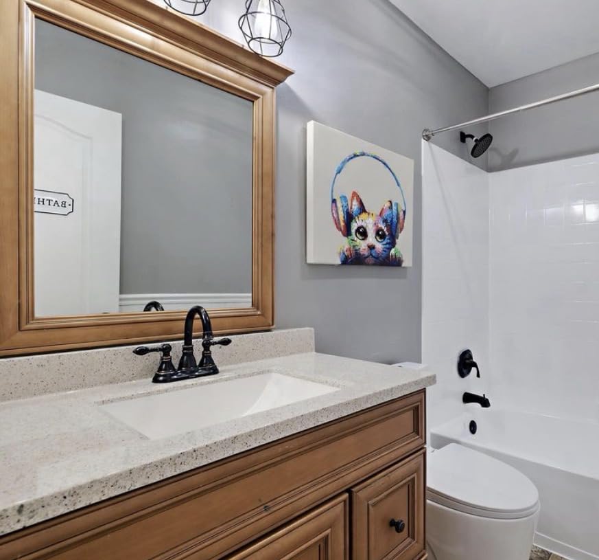 St. Tropez Comfort Height One-Piece Elongated Toilet, Vortex Dual-Flush 1.1/1.6 GPF, White Hardware customer photo 2