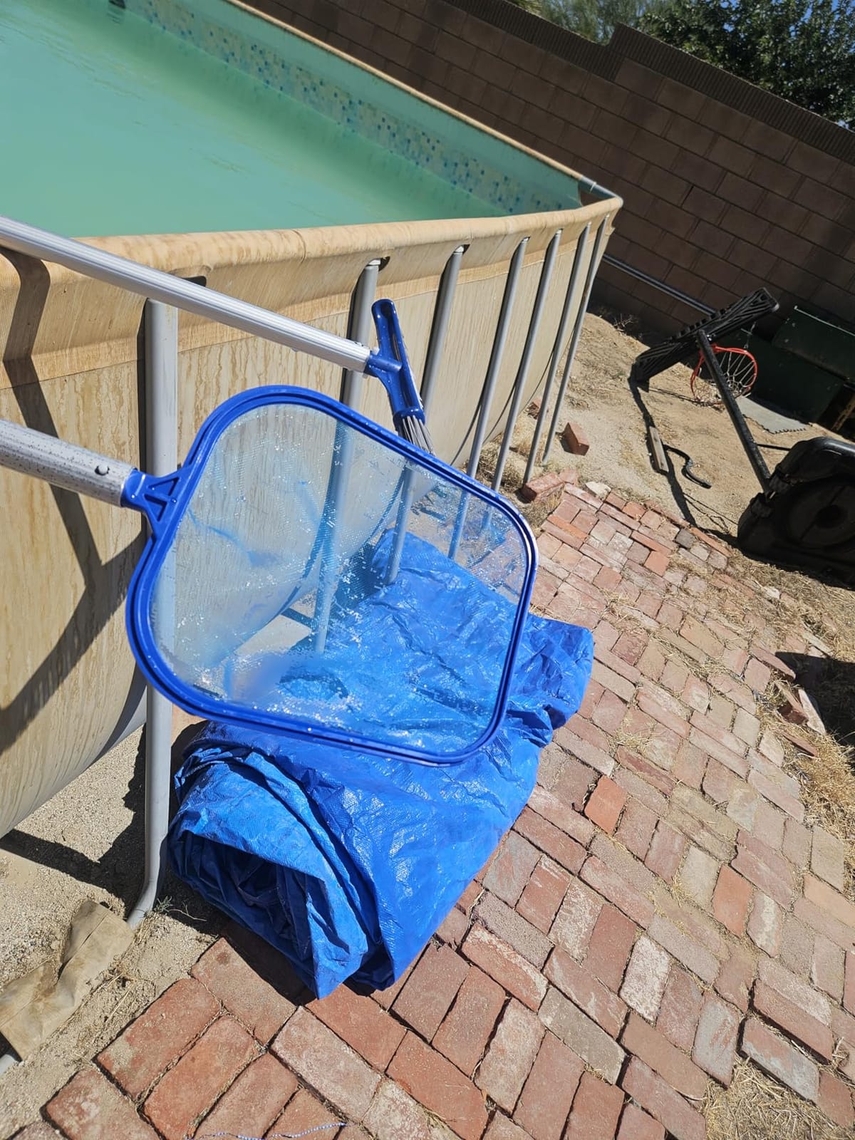 Sunnyglade 17.5x11.8in Swimming Pool Cleaner Supplies Pool Net Skimmer | Professional Heavy Duty Pool Leaf Rake Fine Mesh Frame Net/Cleaning Leaf Skim Net flat skimmer pool nets pool accessories customer photo 2