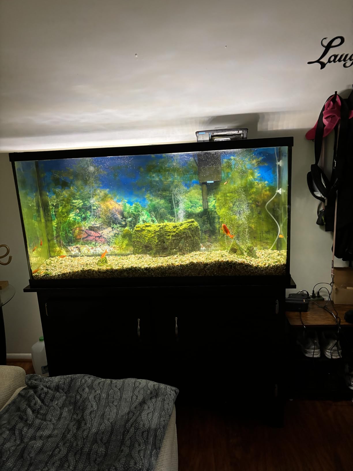 Laifoo 7ft Aquarium Siphon Vacuum Cleaner for Fish Tank Cleaning Gravel & Sand customer photo 2