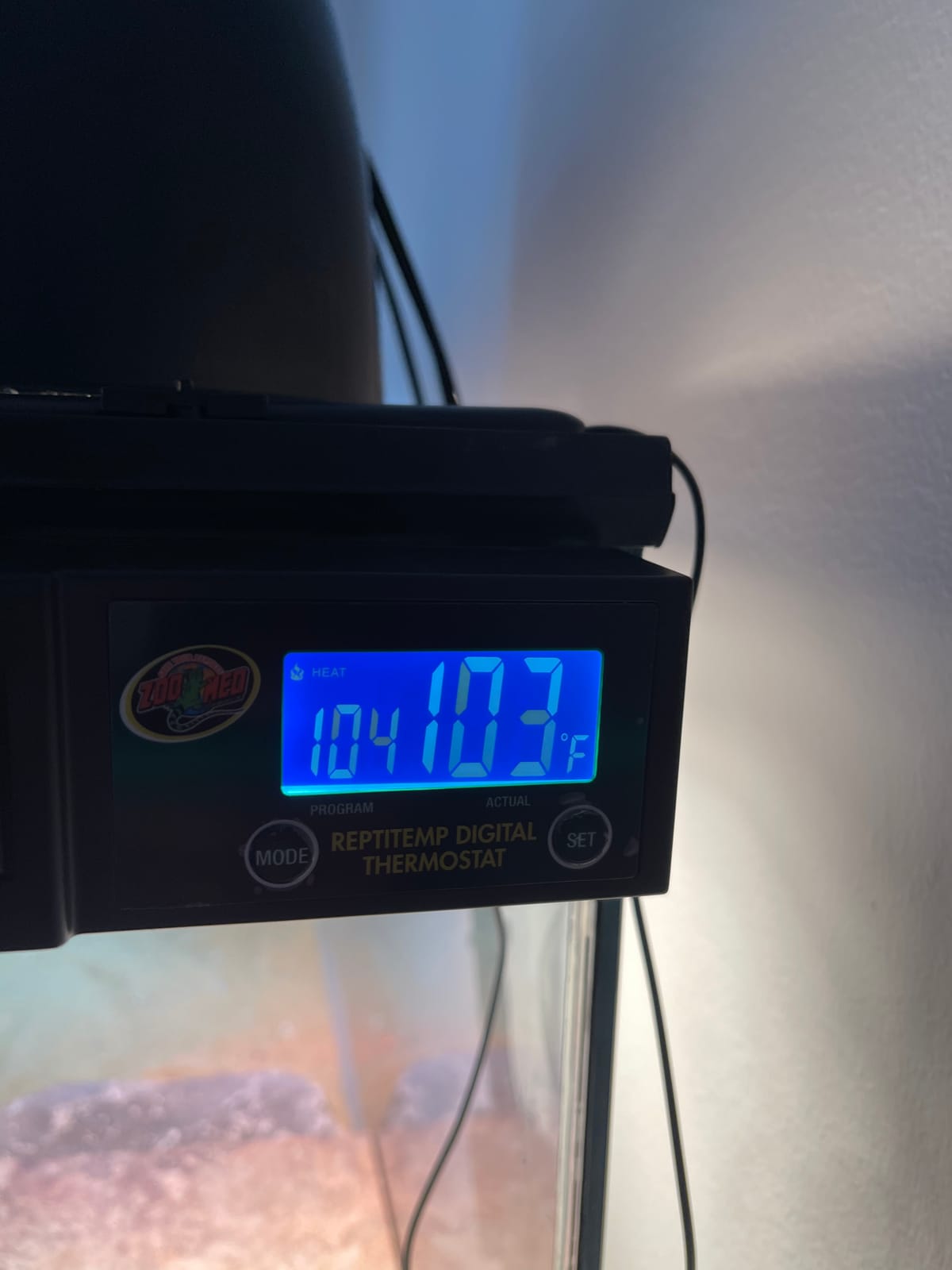Zoo Med ReptiTemp Digital Thermostat customer photo 1