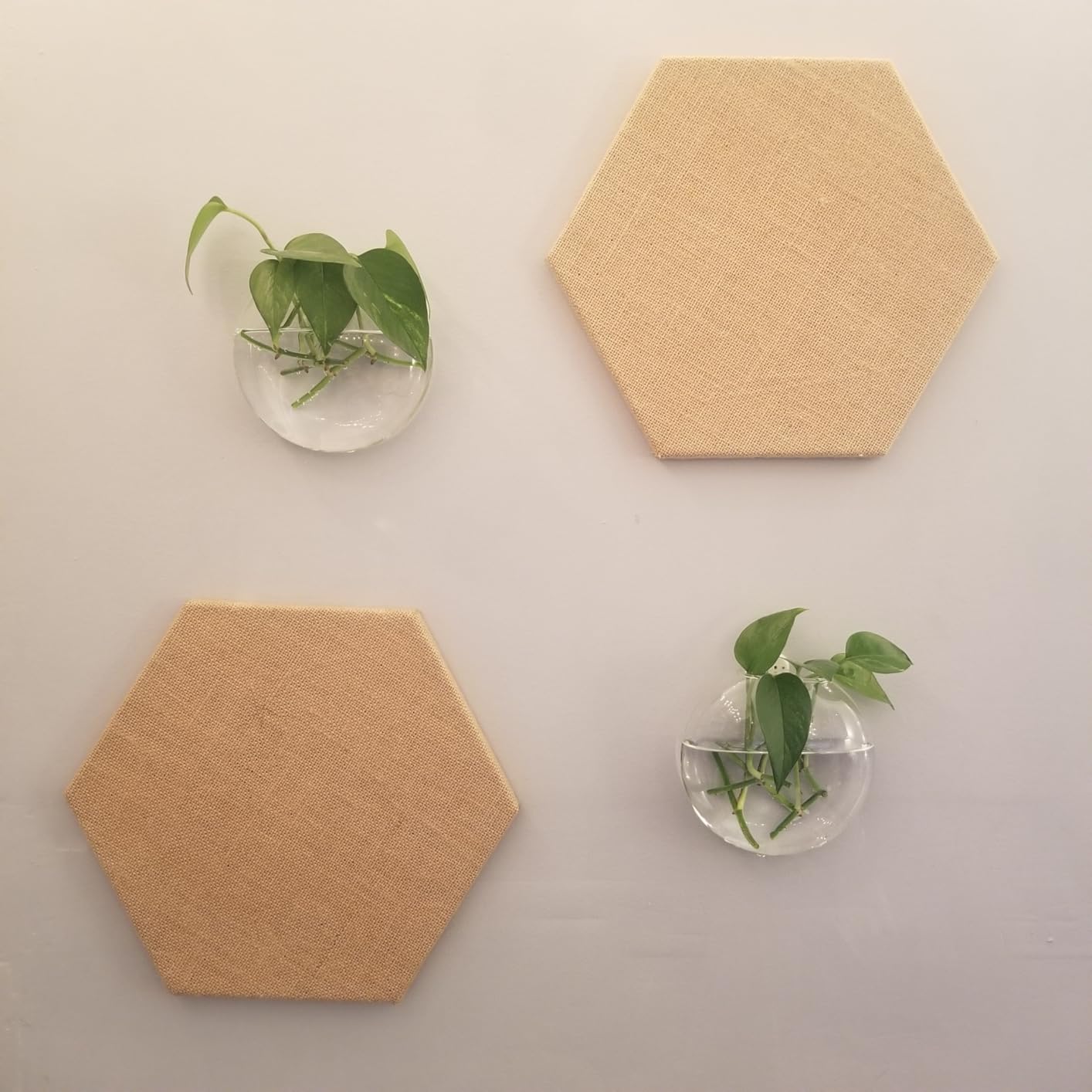 Mkono Wall Propagation Planters, 4 Pack Oblate Hanging Plant Holder Vase | Glass Terrariums Station, Hydroponic Indoor Flowers, Excludes Plants, Bathroom Living Room Office Decor, Gift for Plant Lover customer photo 1