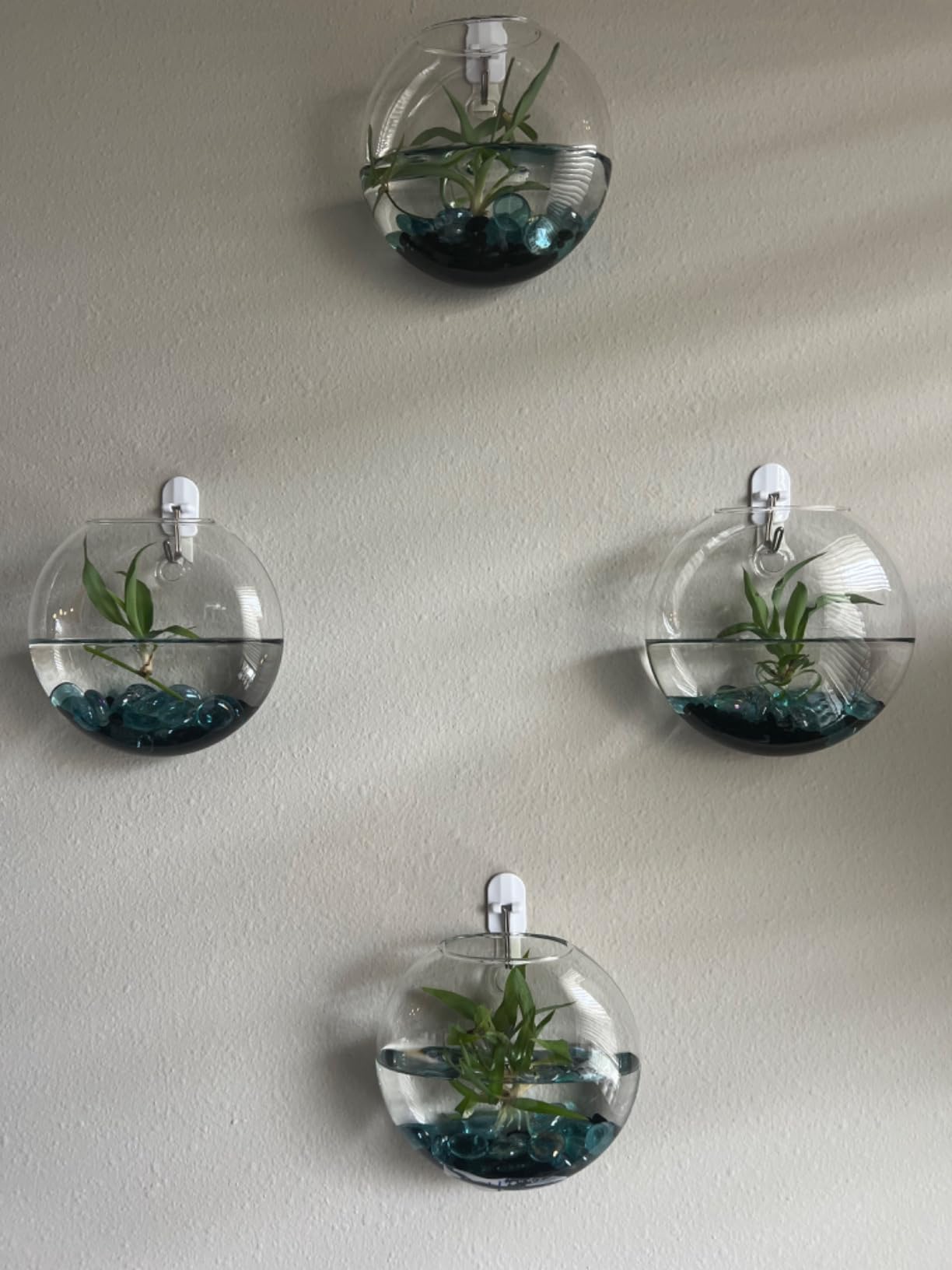 Mkono Wall Propagation Planters, 4 Pack Oblate Hanging Plant Holder Vase | Glass Terrariums Station, Hydroponic Indoor Flowers, Excludes Plants, Bathroom Living Room Office Decor, Gift for Plant Lover customer photo 2