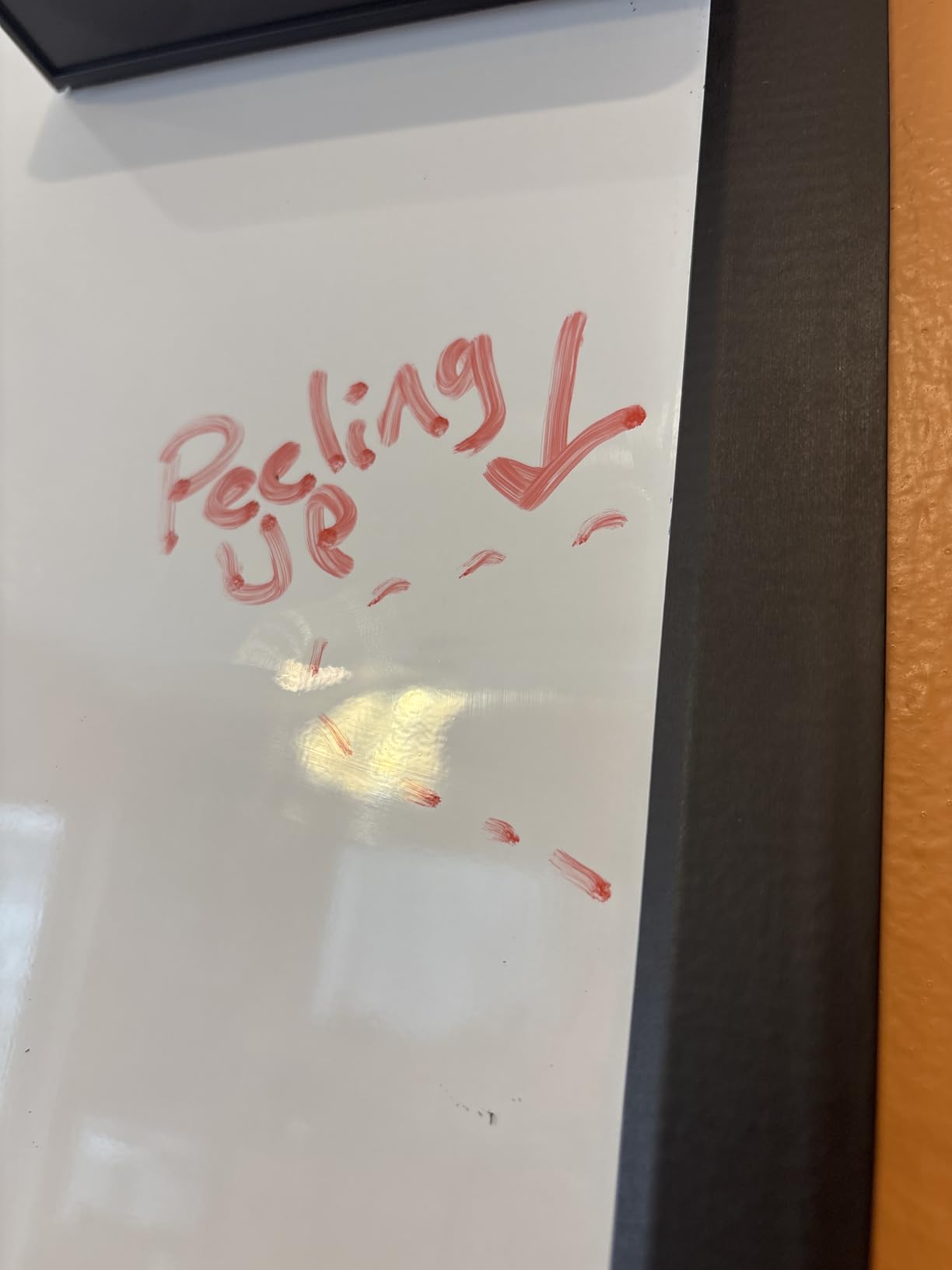 Amazon Basics Magnetic Dry Erase Whiteboard, 24