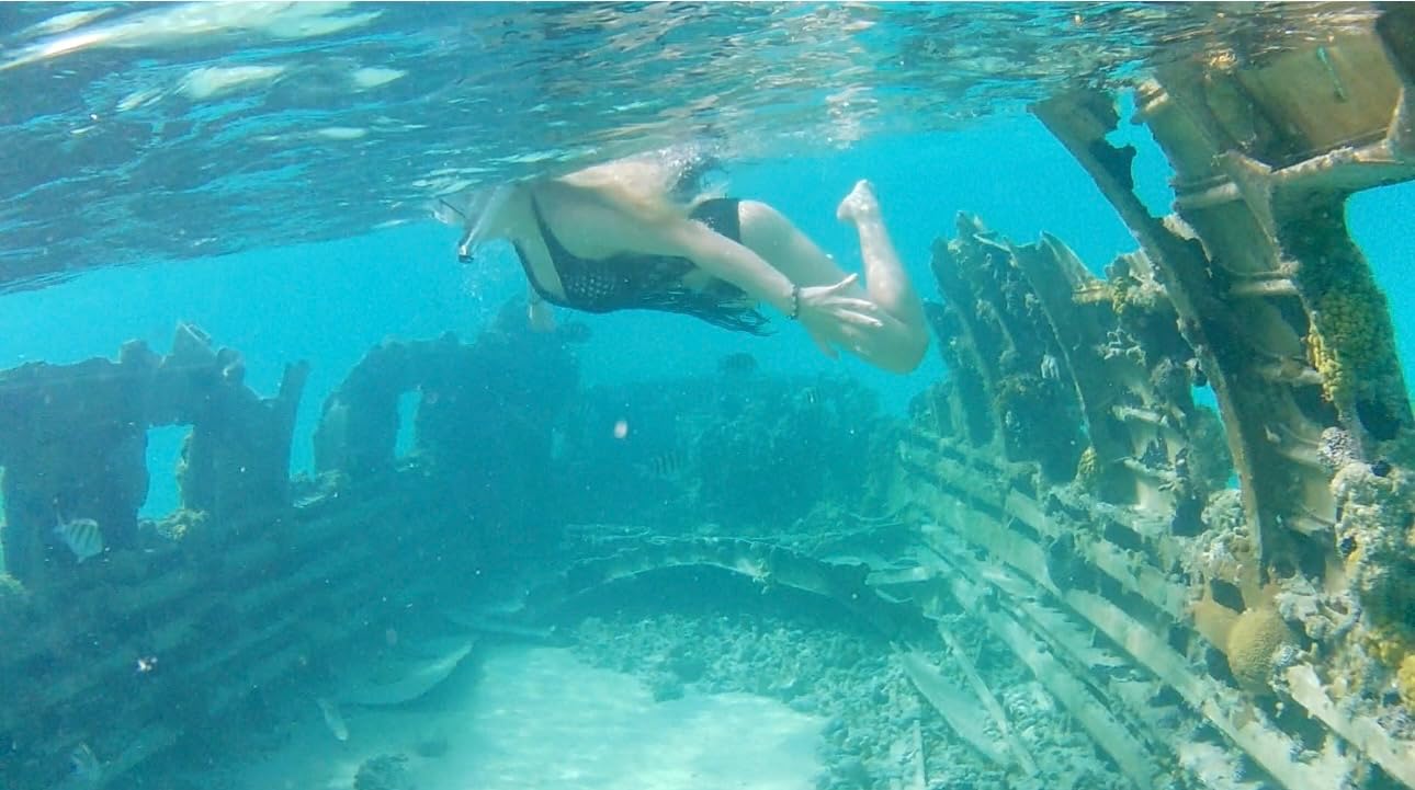 Cressi Panoramic Wide View Mask & Dry Snorkel Kit for Snorkeling, Scuba Diving - Pano 4 & Supernova Dry: Designed in Italy customer photo 2