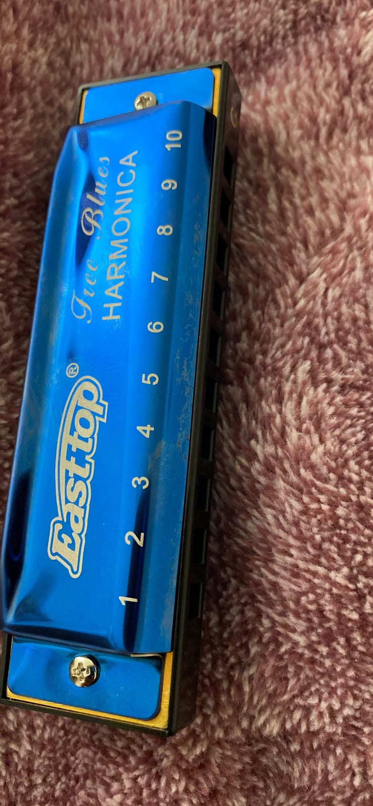 East top Harmonica Set, 7 Keys Diatonic Mouth Organ with Case, A, B, C, D, E, F, G, Professional, Bronze Reed, Polished Finish customer photo 2