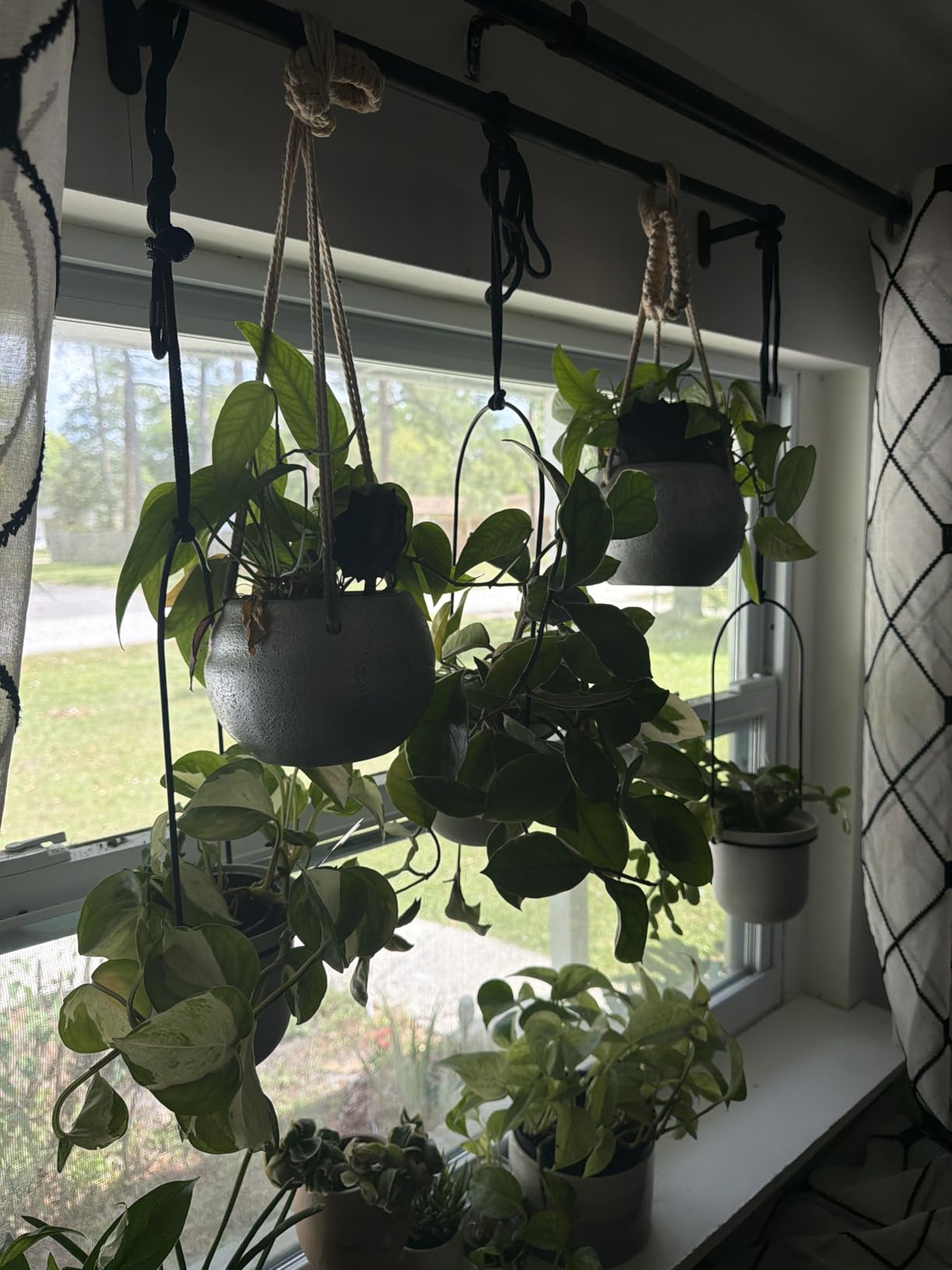 Umbra Triflora Hanging Planter, Indoor Herb Garden, Set of 3, White/Black | Extendable metal rod, adjustable rope lengths, fits standard pots, wall or ceiling mount, holds 15 lbs, recycled plastic customer photo 1