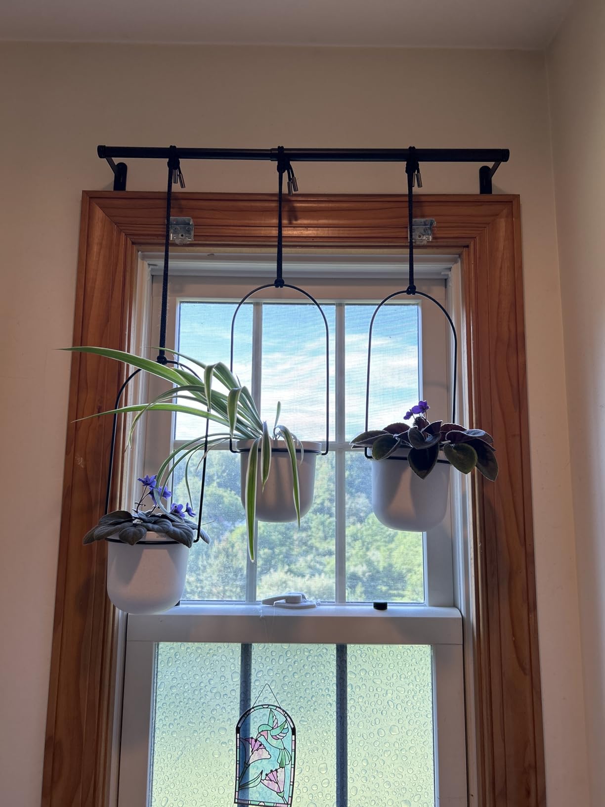 Umbra Triflora Hanging Planter, Indoor Herb Garden, Set of 3, White/Black | Extendable metal rod, adjustable rope lengths, fits standard pots, wall or ceiling mount, holds 15 lbs, recycled plastic customer photo 2