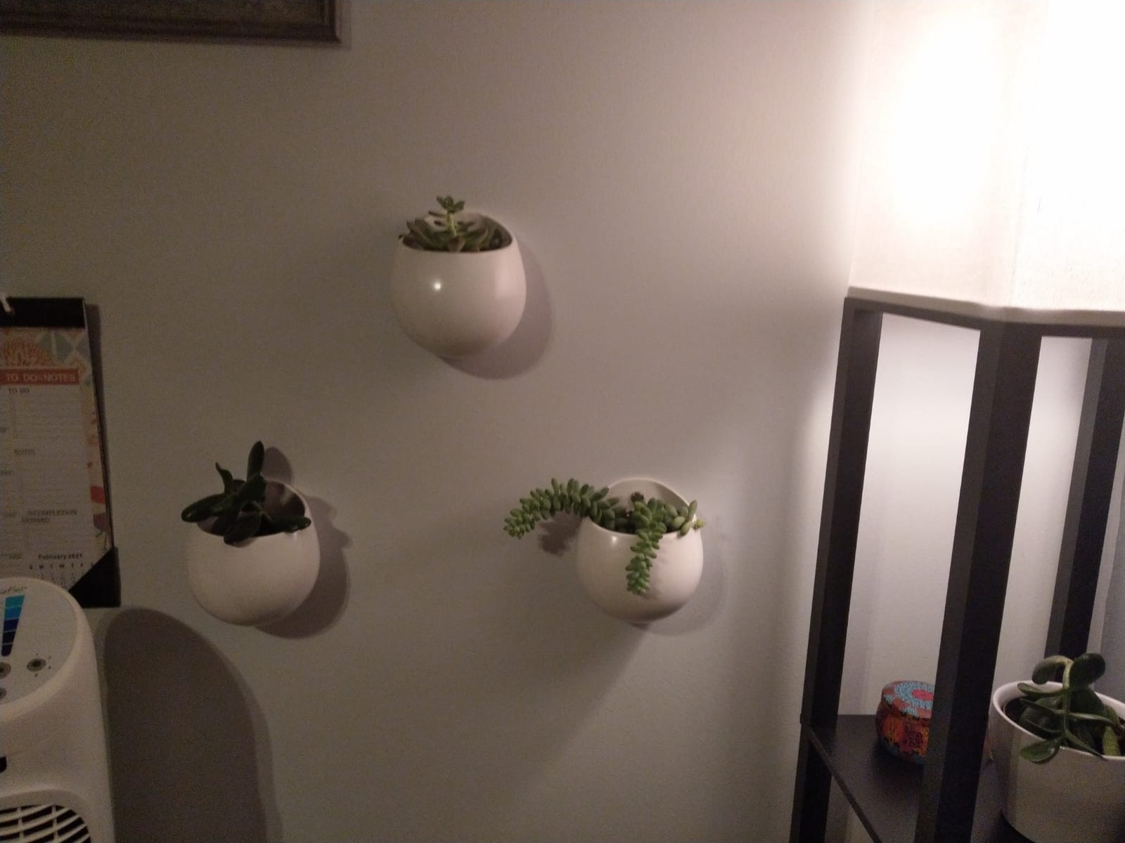Mkono Ceramic Wall Planter for Indoor Plants 4 Inch Hanging Pot, Set of 3 | Succulents Air Plant Holder, White Round Flower Vase, Home Office Wall Mounted Decor, Multi-Purpose Use, Plant Lover Gift customer photo 1
