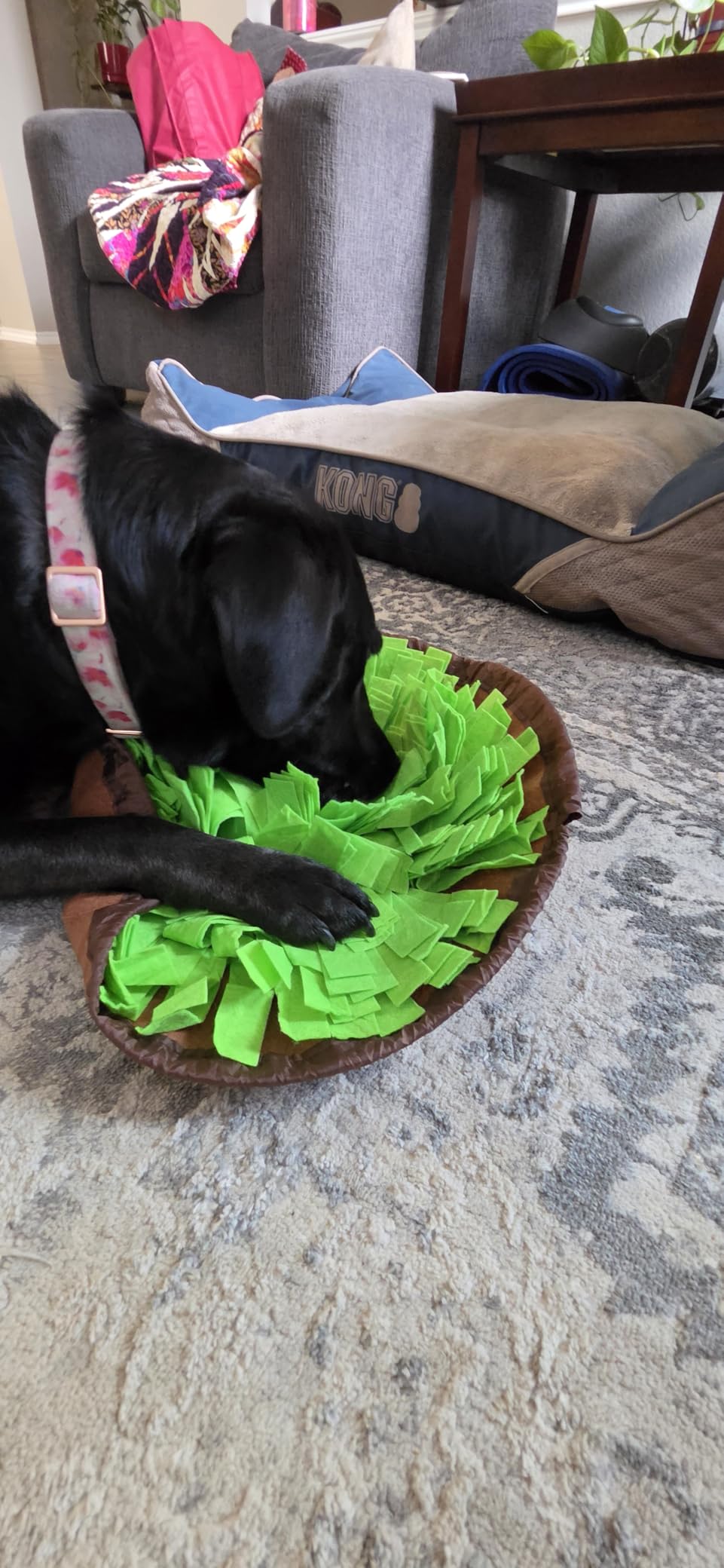 AWOOF Pet Snuffle Mat for Dogs, Interactive Feed Game for Boredom, Encourages Natural Foraging Skills for Cats Dogs Bowl Travel Use, Dog Treat Dispenser Indoor Outdoor Stress Relief customer photo 1