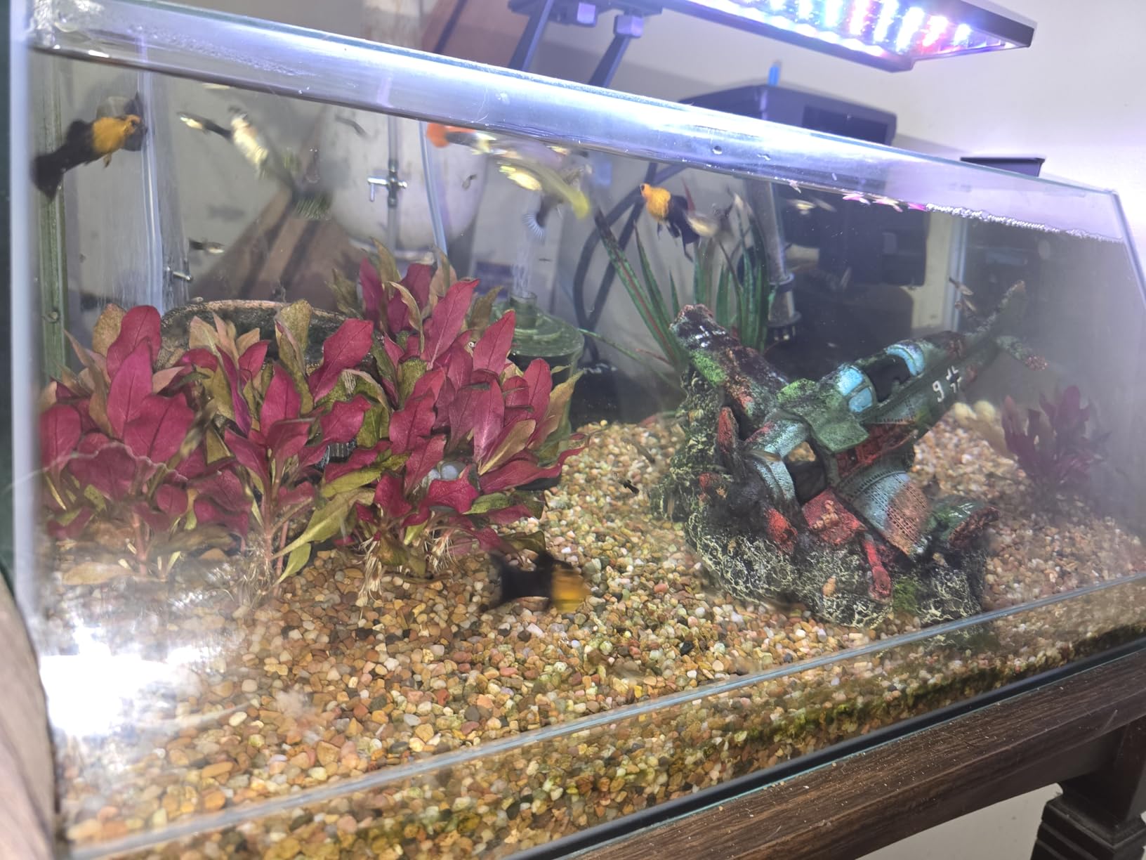 Seachem Tidal Filter, 35 gal. (135 L) NA 120 V, 60 Hz, US, 2P customer photo 1