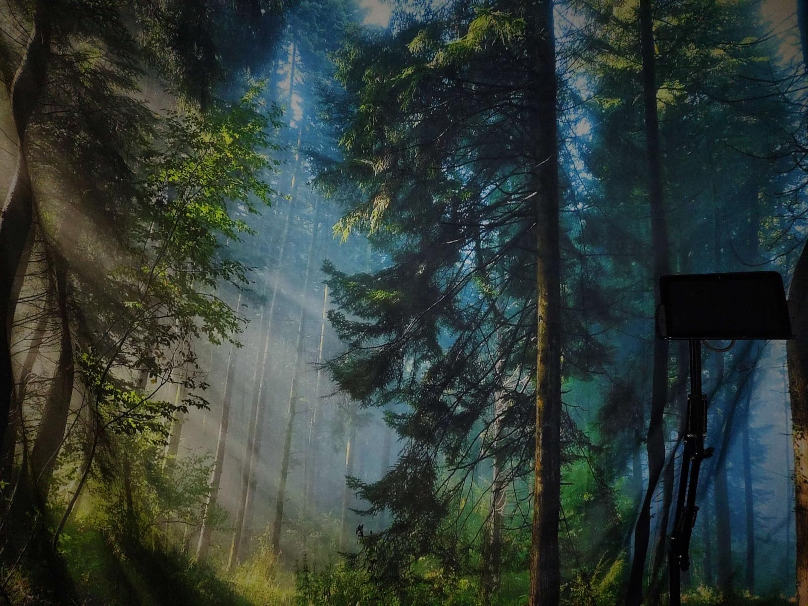 Llamazing Forest Tapestry Home Decor Landscape Living Room Bedroom Decoration Magic Tapestry Curtain customer photo 2