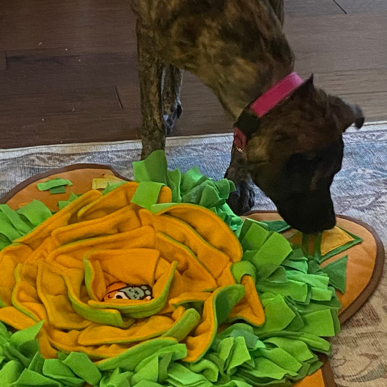 AWOOF Snuffle Mat Pet Dog Feeding Mat, 28''x28'' Interactive Dog Puzzle Toys Encourages Natural Foraging Skills customer photo 1