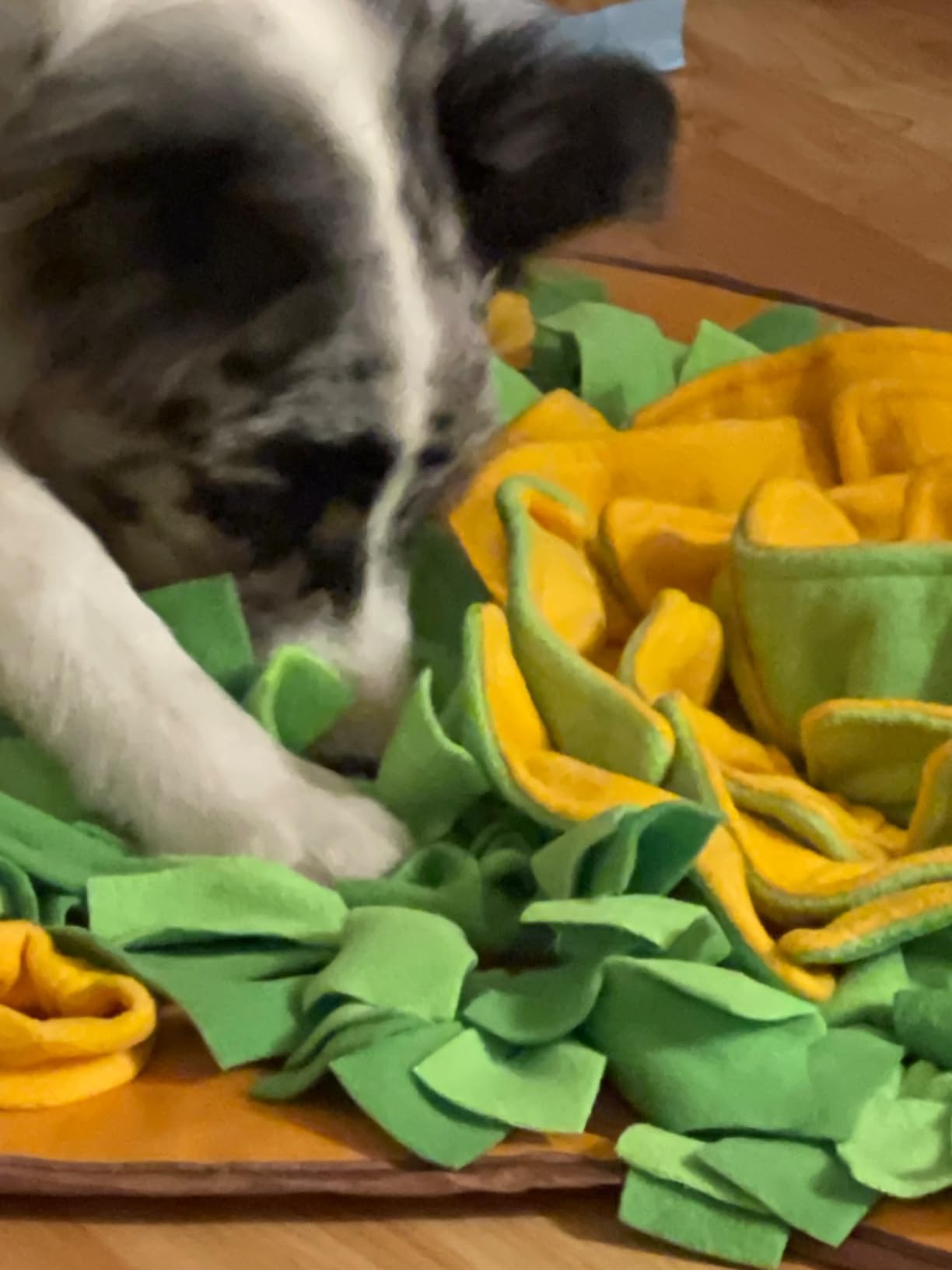 AWOOF Snuffle Mat Pet Dog Feeding Mat, 28''x28'' Interactive Dog Puzzle Toys Encourages Natural Foraging Skills customer photo 2
