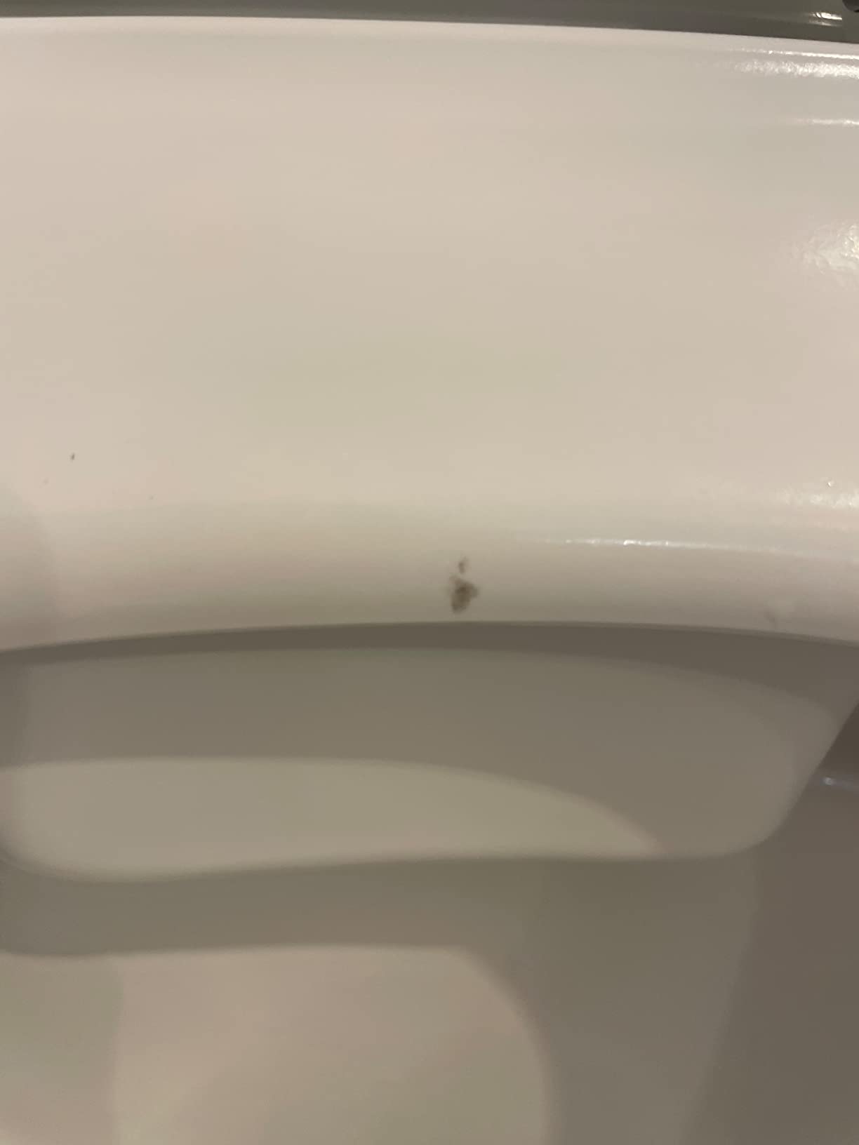 Ivy Wall-Hung Elongated Toilet Bowl customer photo 2