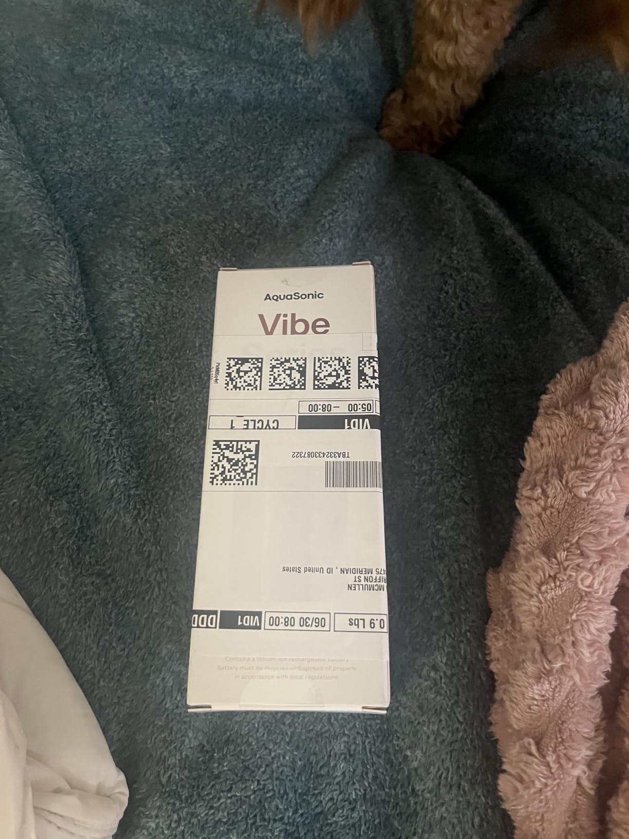 Aquasonic Vibe Series Ultra-Whitening Toothbrush - ADA Accepted Electric Toothbrush - 8 Brush Heads & Travel Case - 40,000 VPM Motor & Wireless Charging - 4 Modes w Smart Timer - Satin Rose Gold customer photo 2