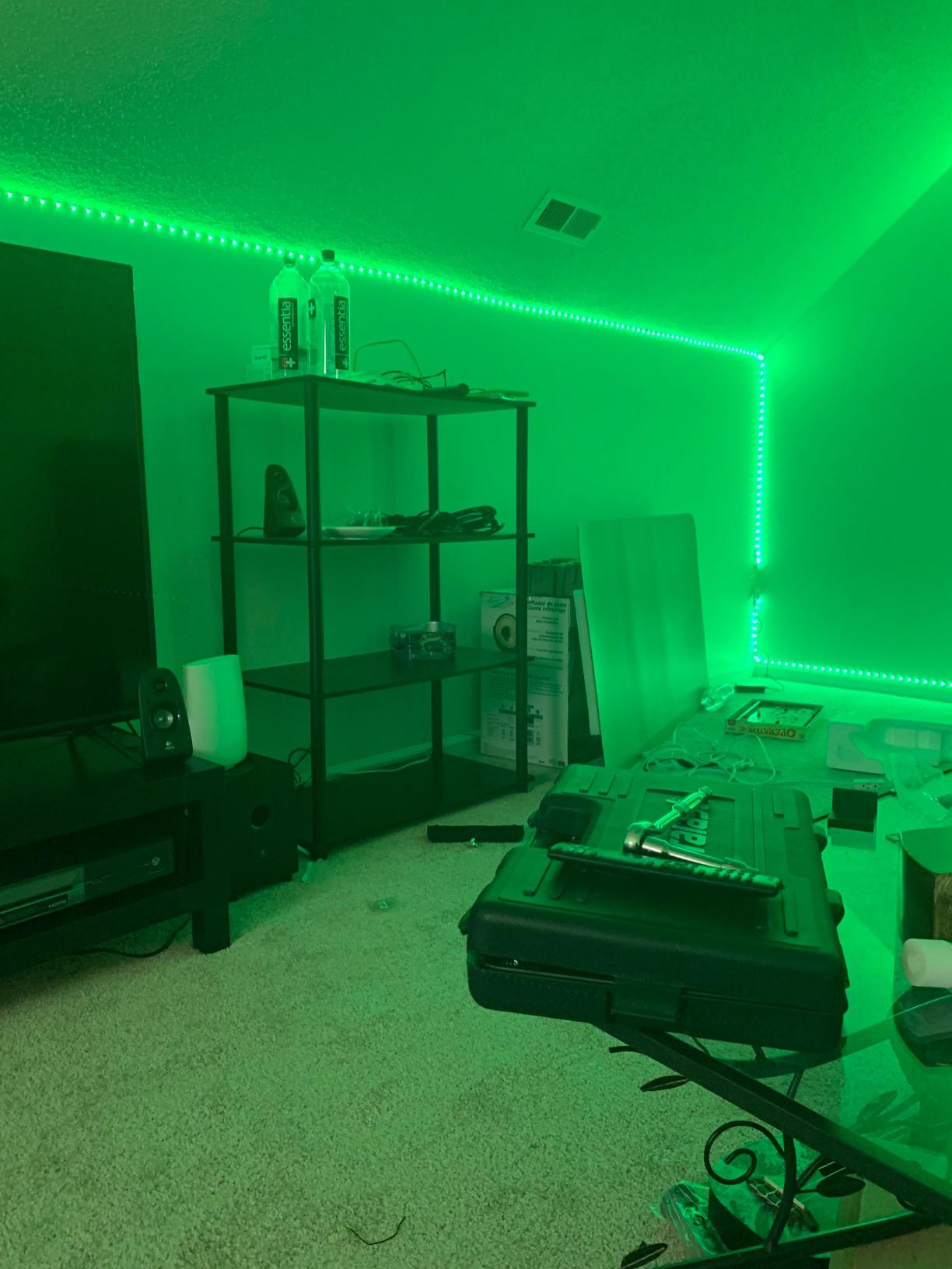 DAYBETTER Led Strip Lights 32.8 ft RGB Color Changing Lights Strip for Bedroom, Desk, Home Decoration, with Remote and Power Supply customer photo 1