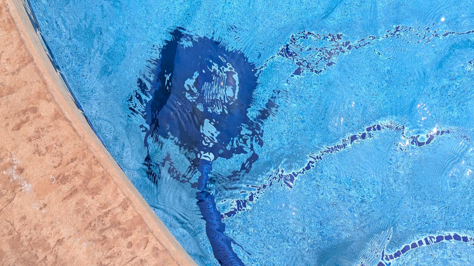 VINGLI Pool Cleaner, Automatic Wall-Climbing Pool Vacuum - Navy Blue&White | Pool Creepy Crawler Vacuum with 33FT Hoses, Suction Pool Cleaner for inground pools, Requires ≥3/4HP pump customer photo 1