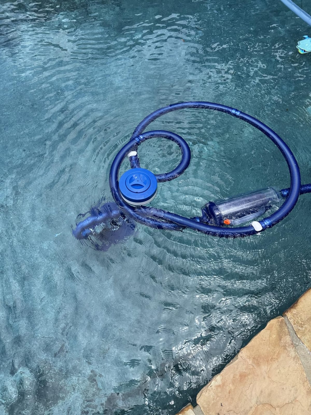VINGLI Pool Cleaner, Automatic Wall-Climbing Pool Vacuum - Navy Blue&White | Pool Creepy Crawler Vacuum with 33FT Hoses, Suction Pool Cleaner for inground pools, Requires ≥3/4HP pump customer photo 2