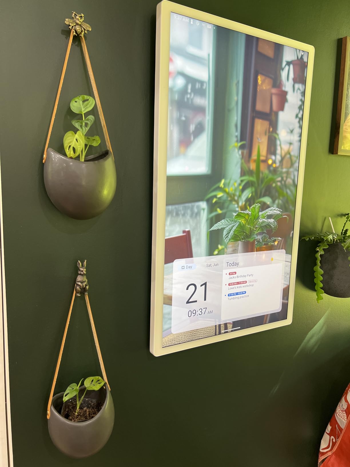 Kazai. Wall Planters -Ellie- | Hanging Ceramic Plant Pots 3 Pieces | Wall Decoration for Indoors, Balcony and Garden | Gray (Matte) customer photo 1