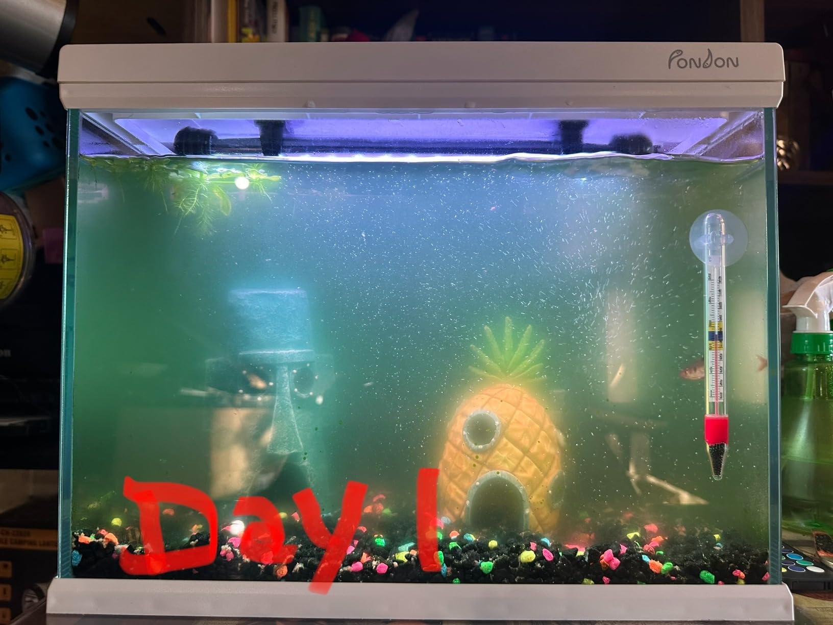 Internal Green Water Killer Aquarium Filter Tank U-V Pump customer photo 1