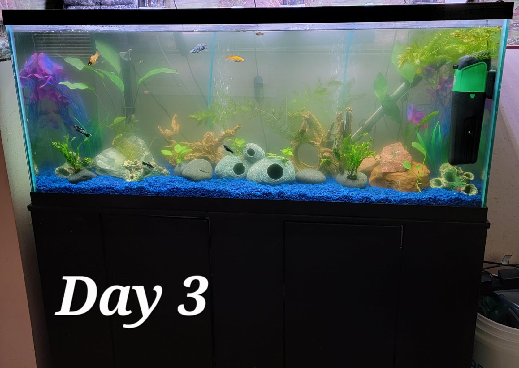Internal Green Water Killer Aquarium Filter Tank U-V Pump customer photo 2
